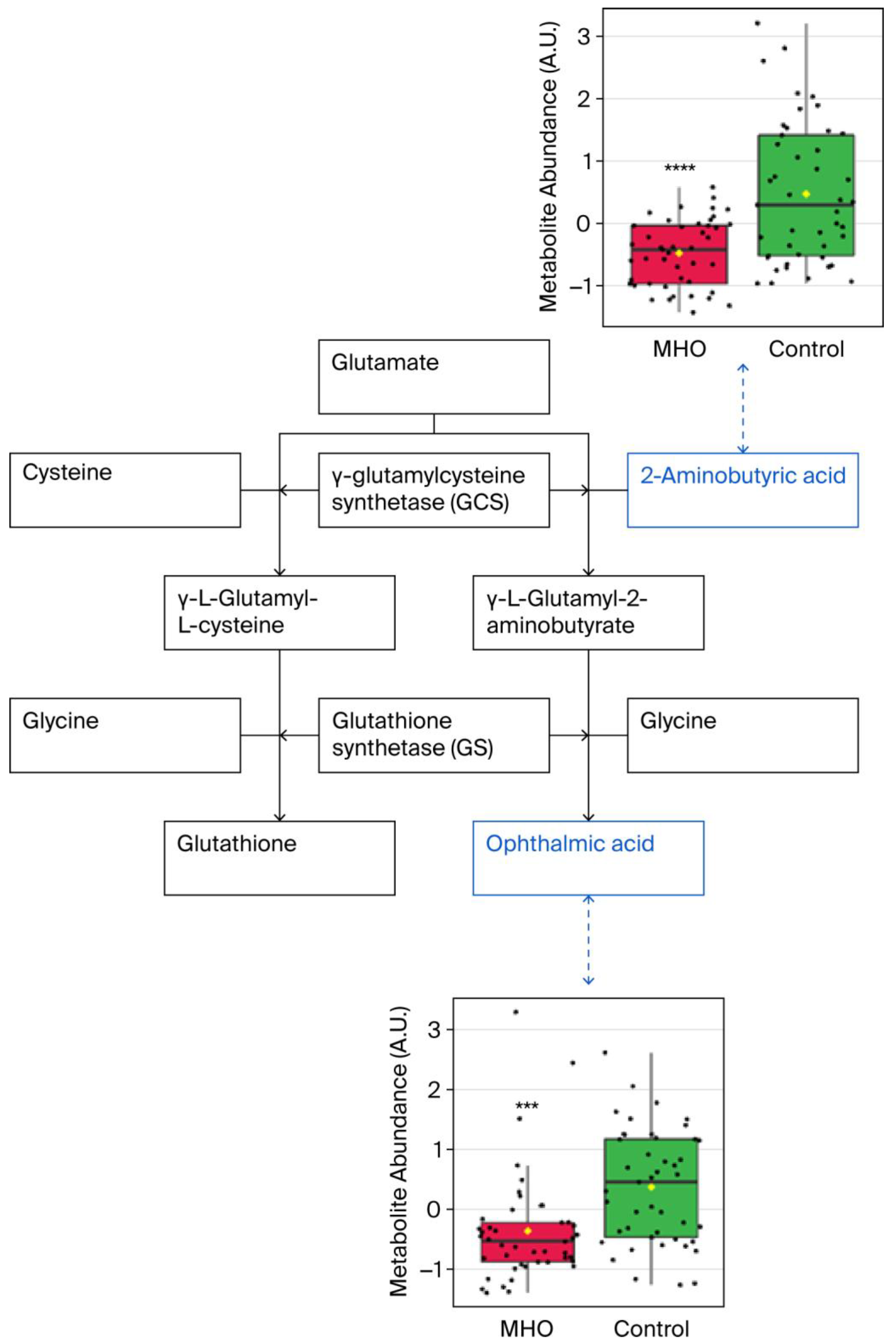 Biomedicines 13 02149 g006