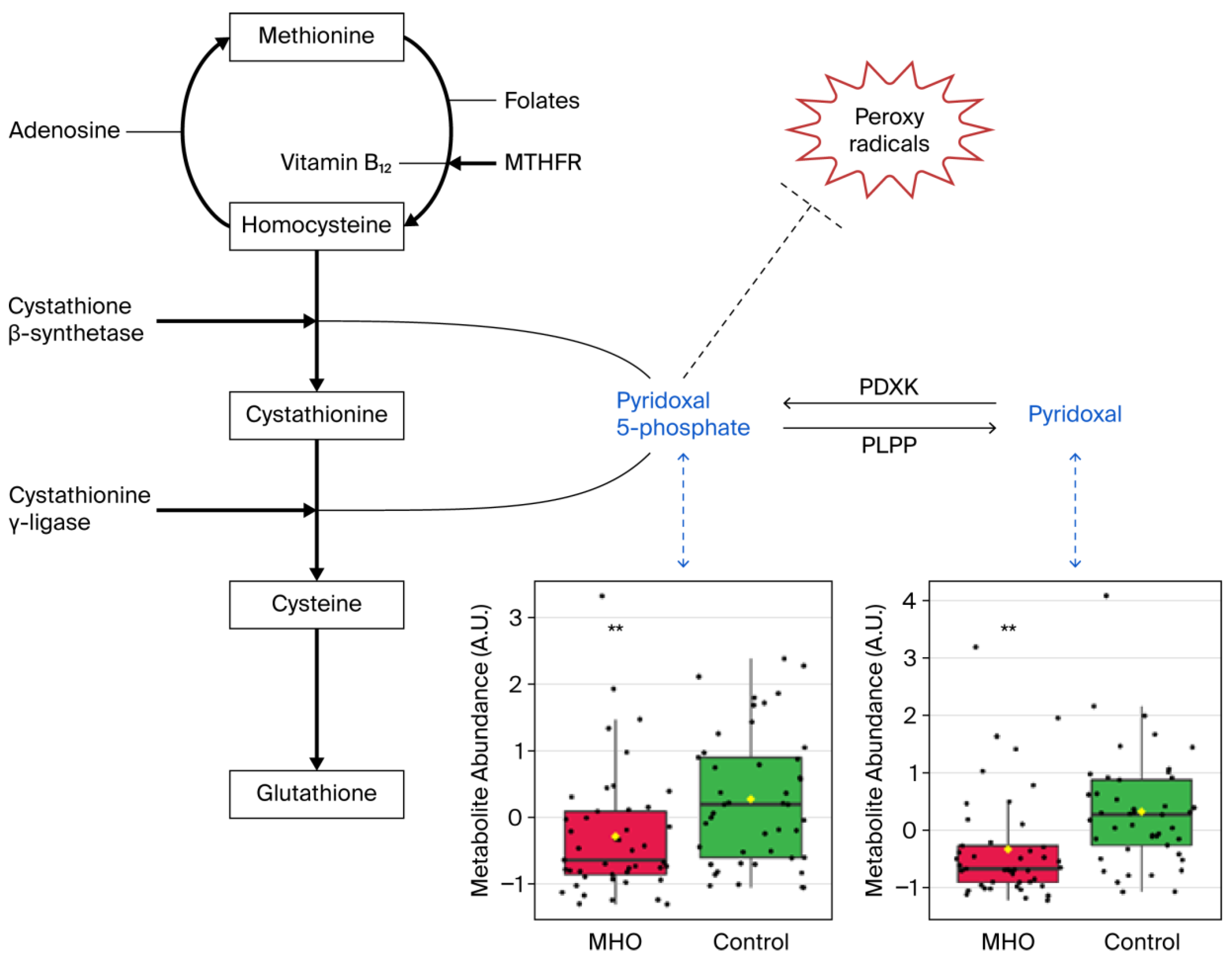 Biomedicines 13 02149 g007