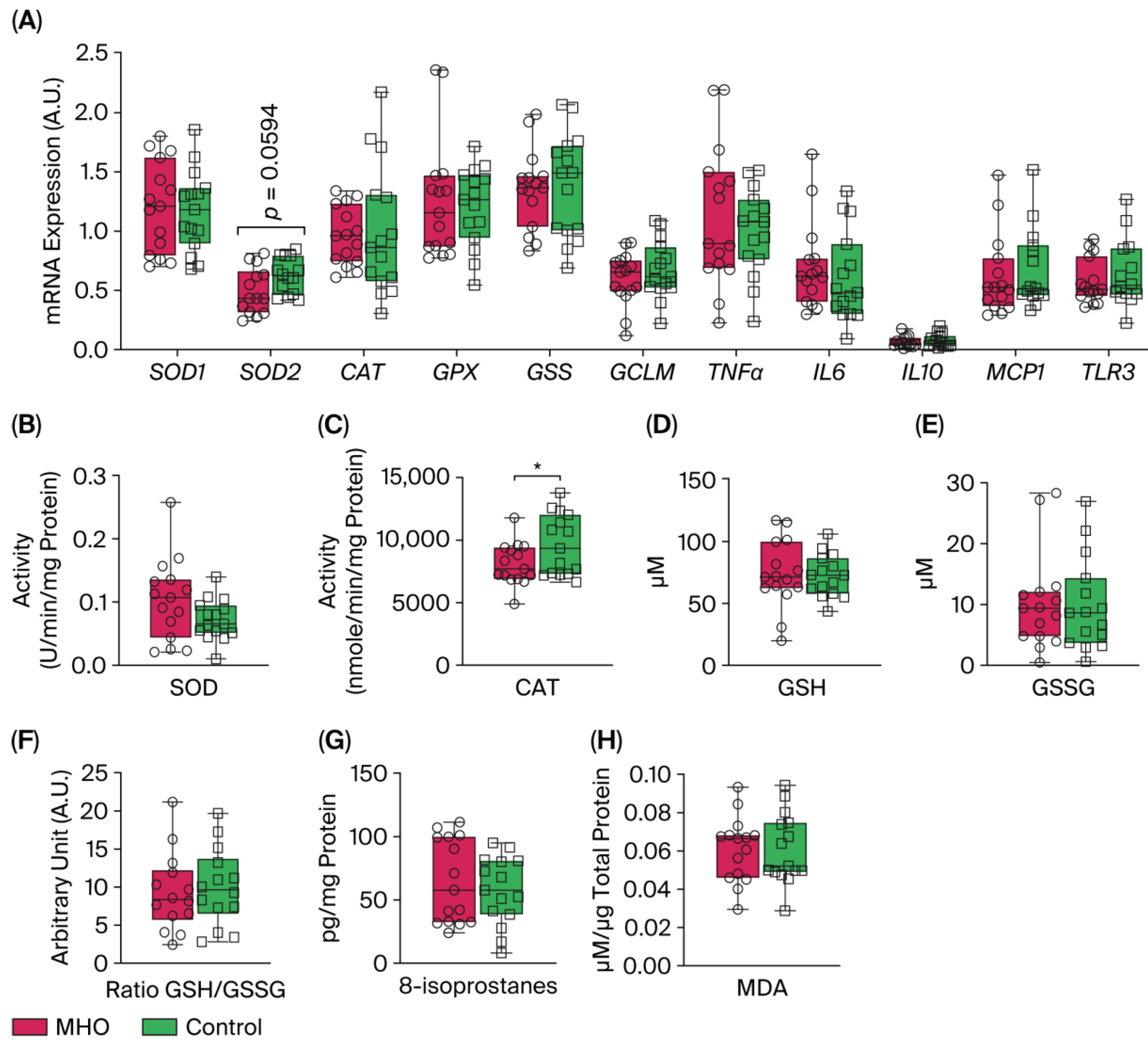 Biomedicines 13 02149 g008