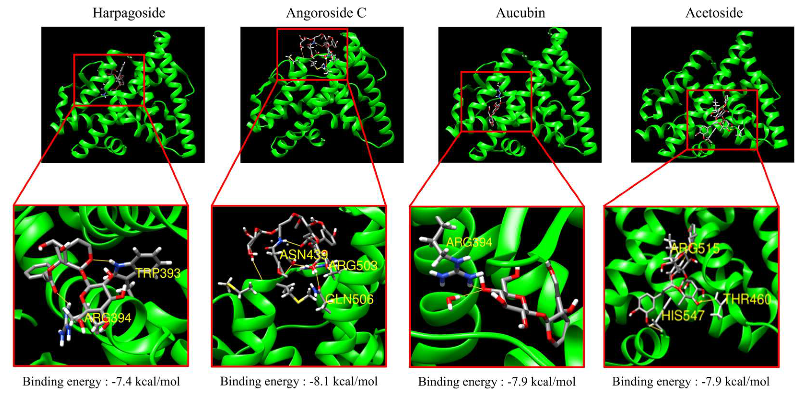 Biomedicines 13 02151 g001