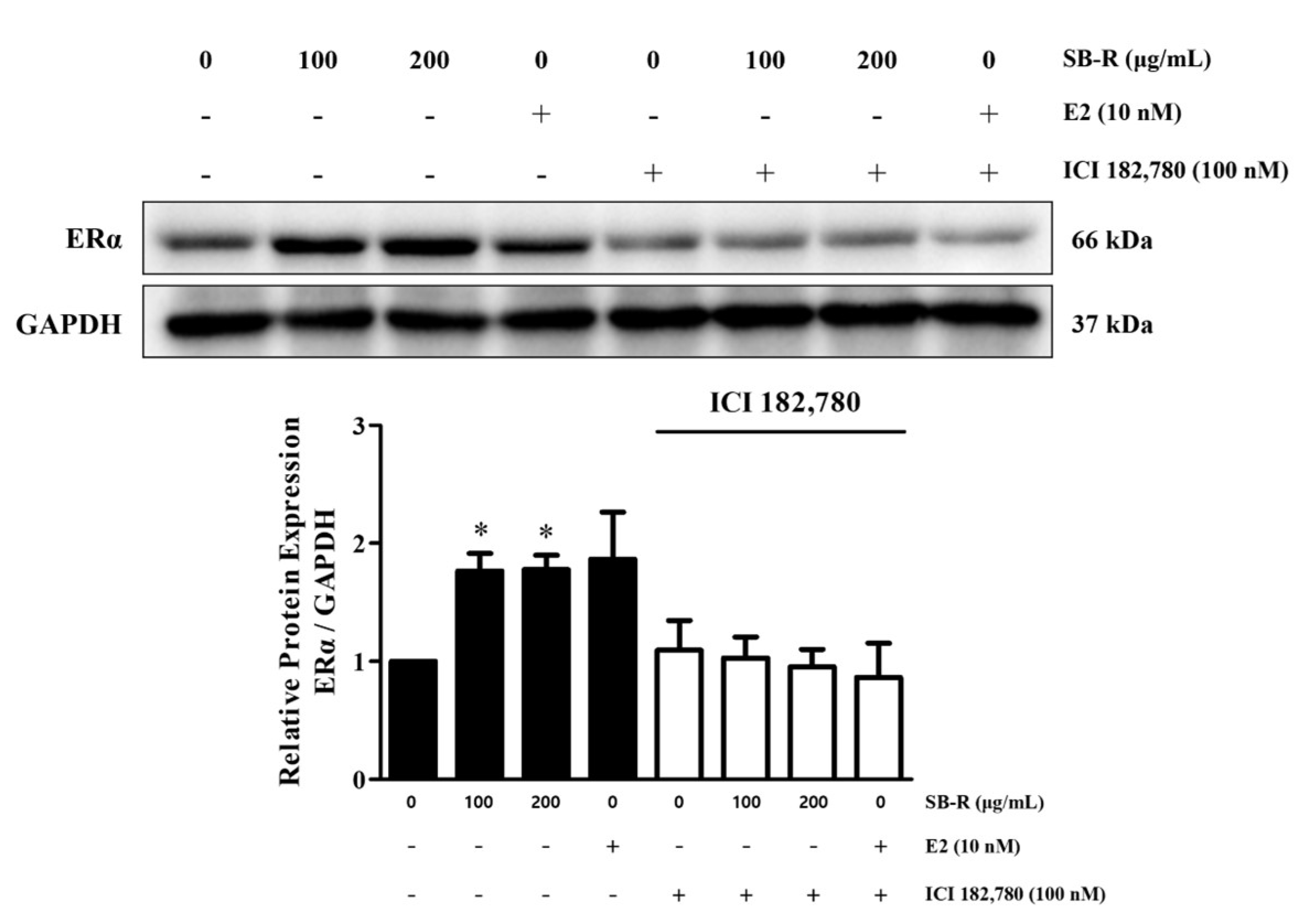 Biomedicines 13 02151 g004