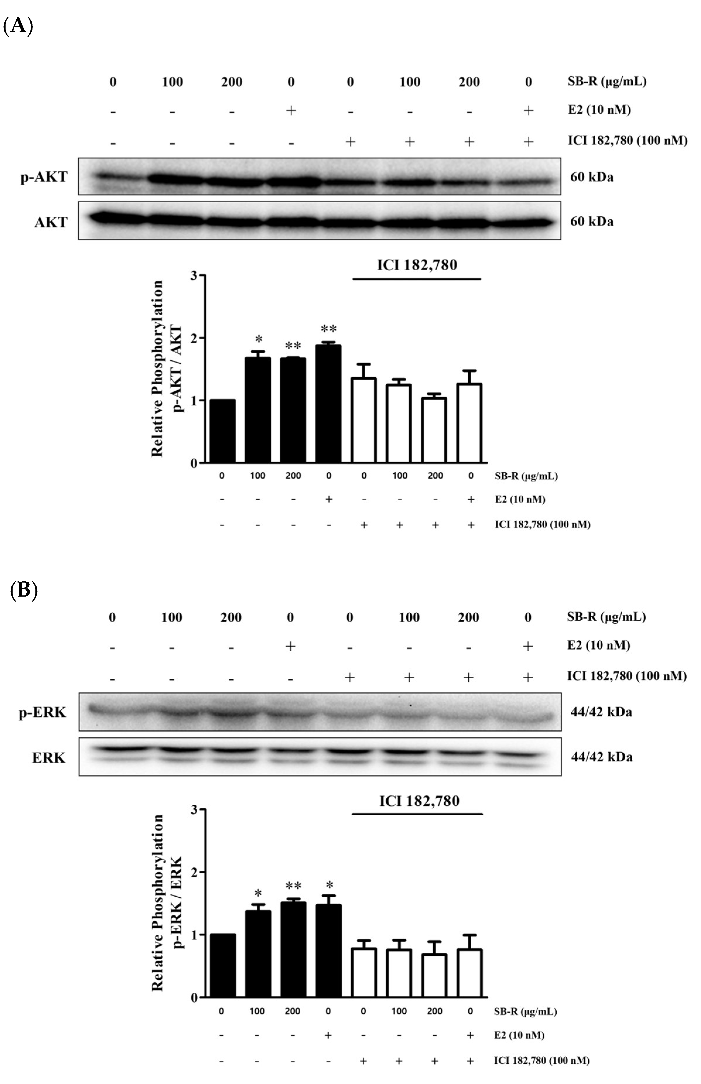 Biomedicines 13 02151 g006