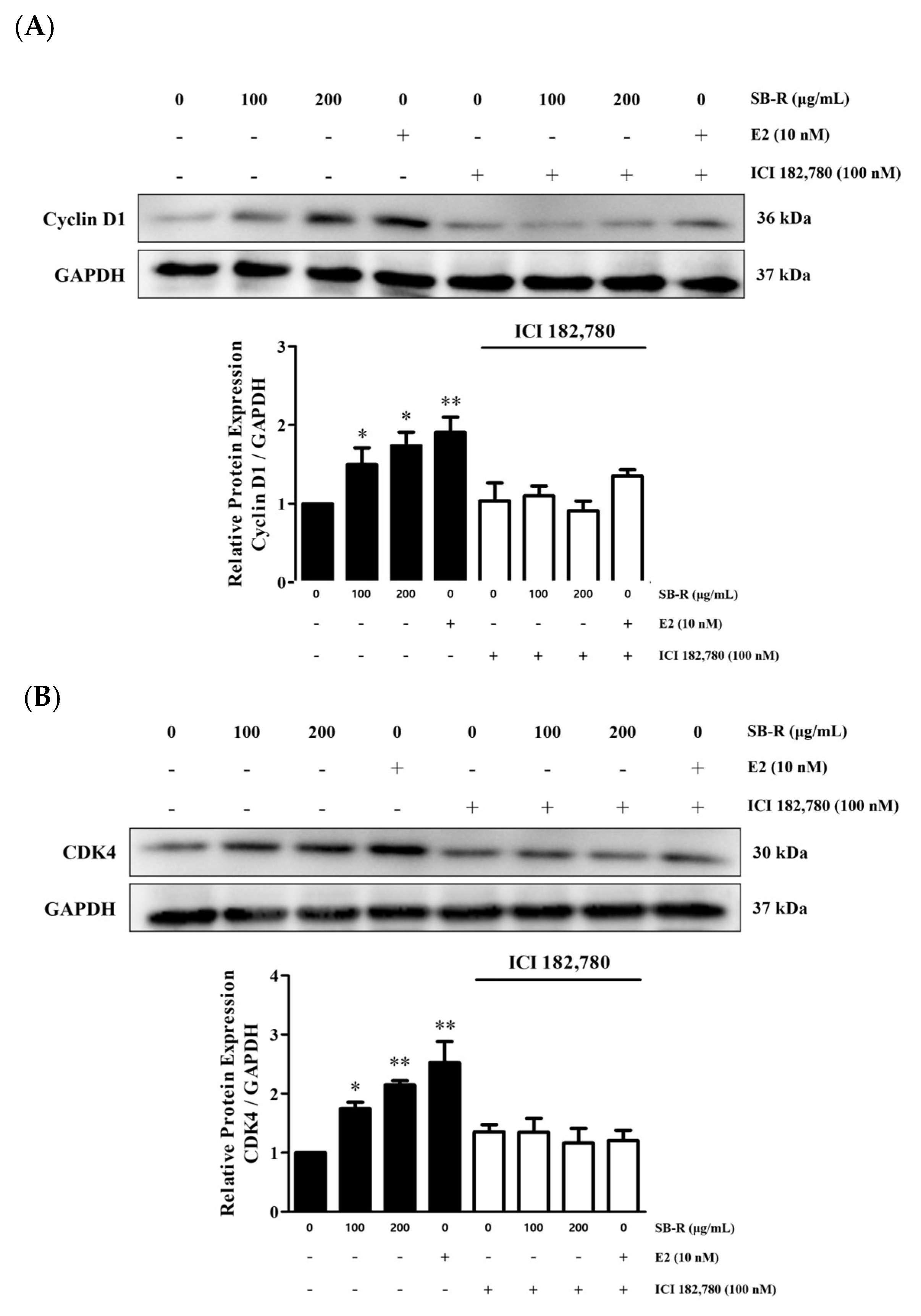 Biomedicines 13 02151 g007