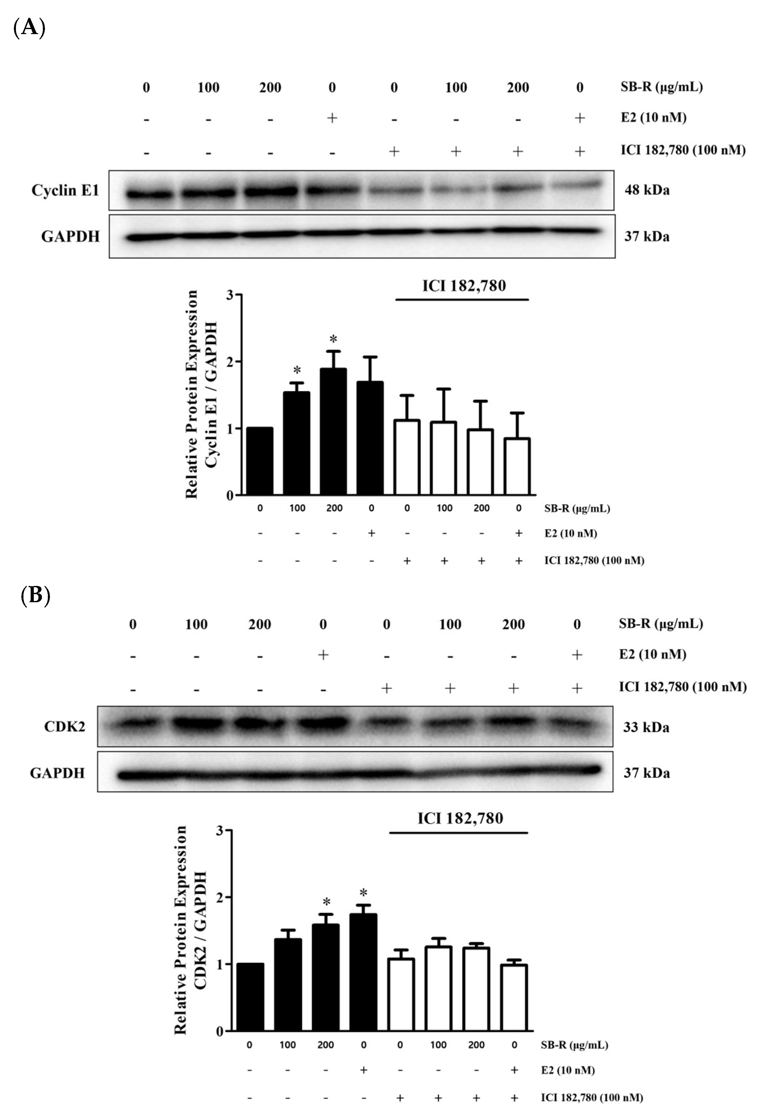 Biomedicines 13 02151 g008