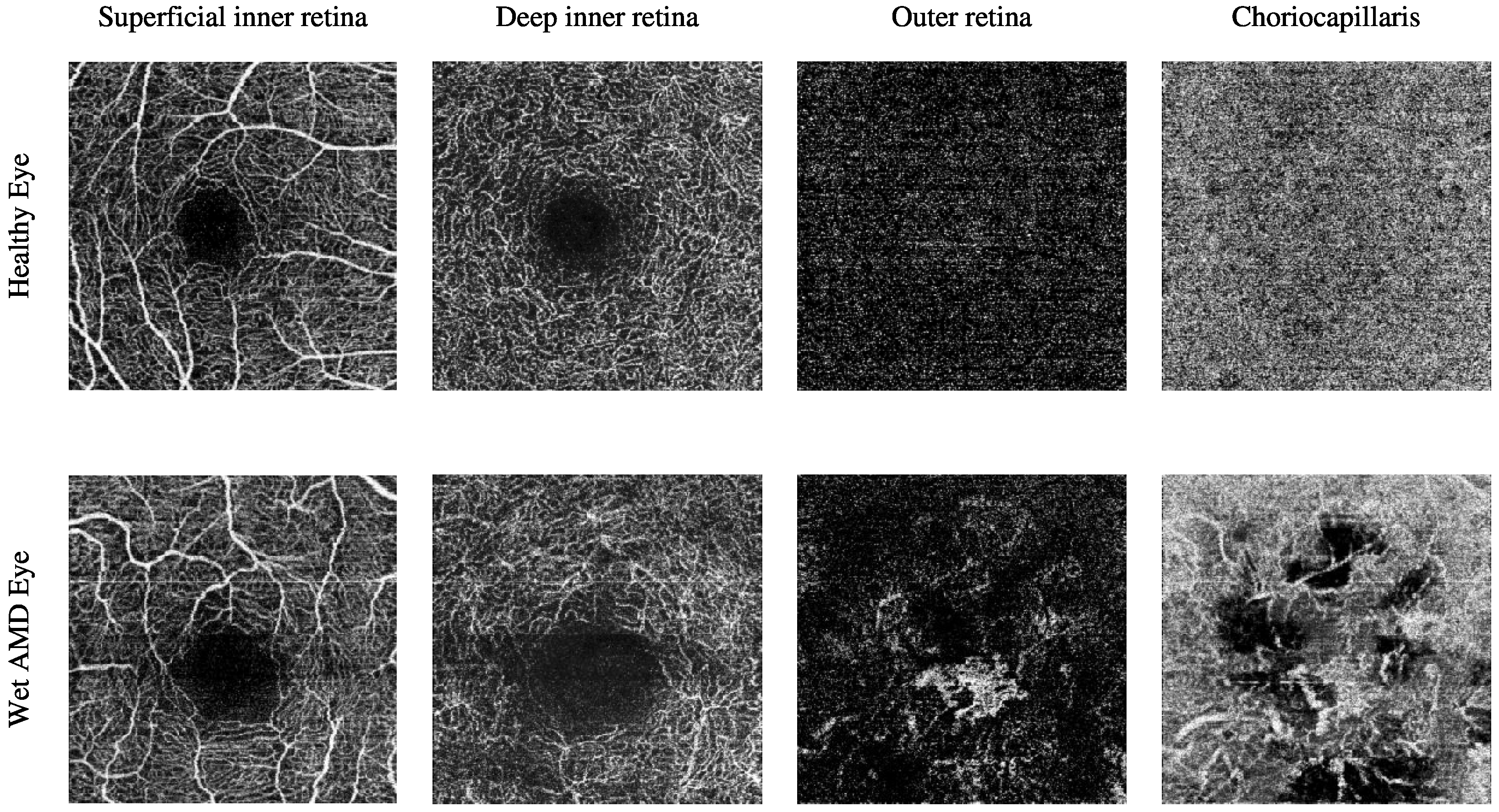 Biomedicines 13 02152 g002