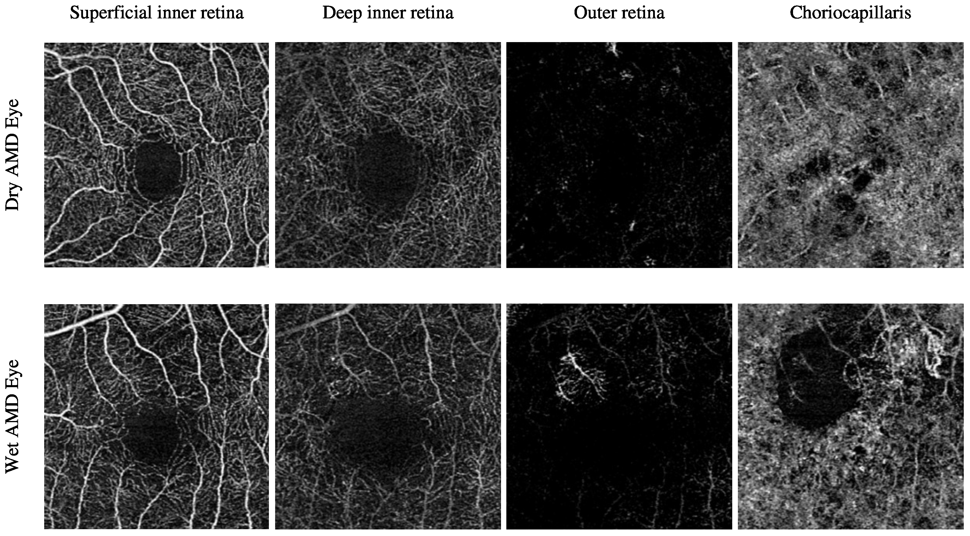 Biomedicines 13 02152 g003
