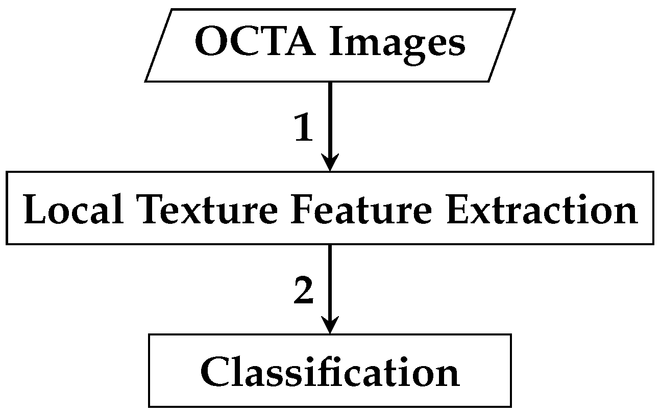 Biomedicines 13 02152 g004
