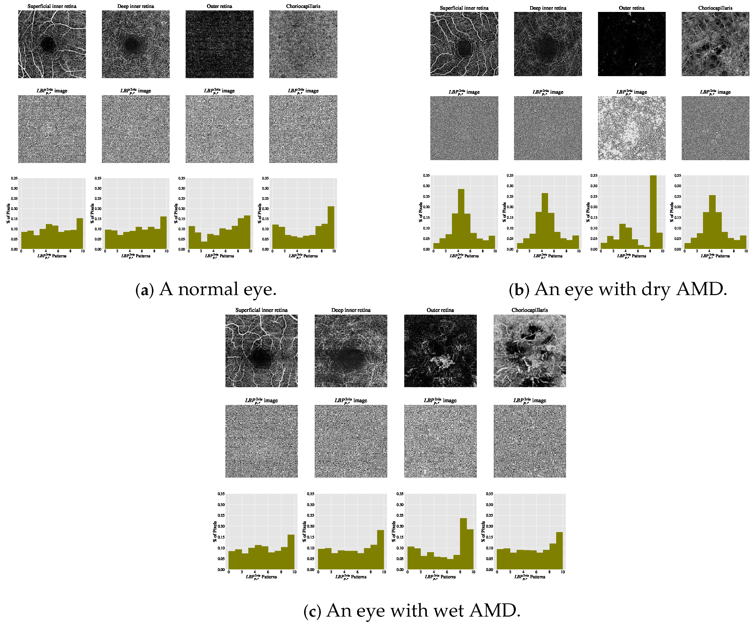 Biomedicines 13 02152 g006
