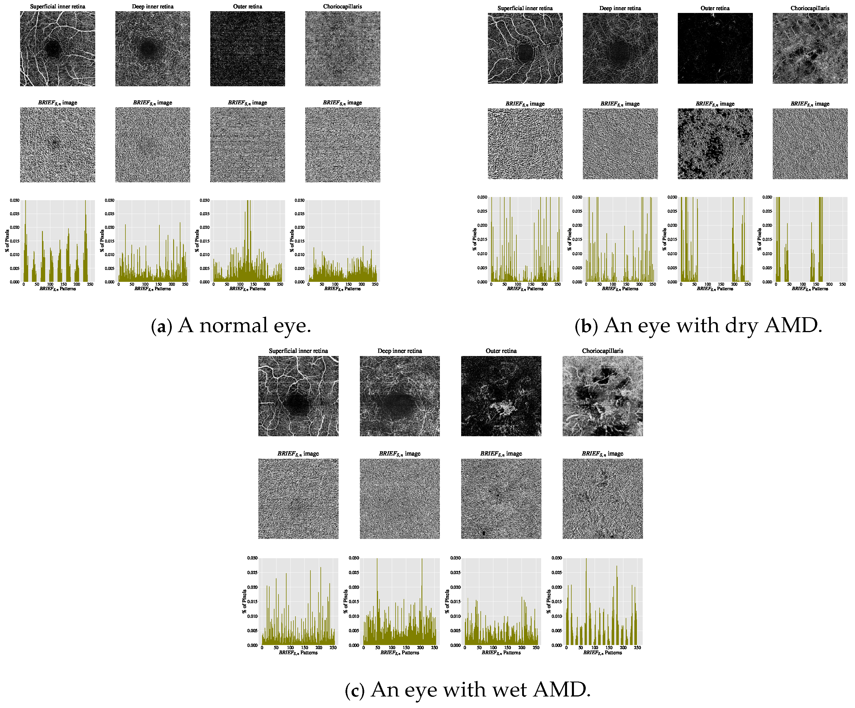Biomedicines 13 02152 g007