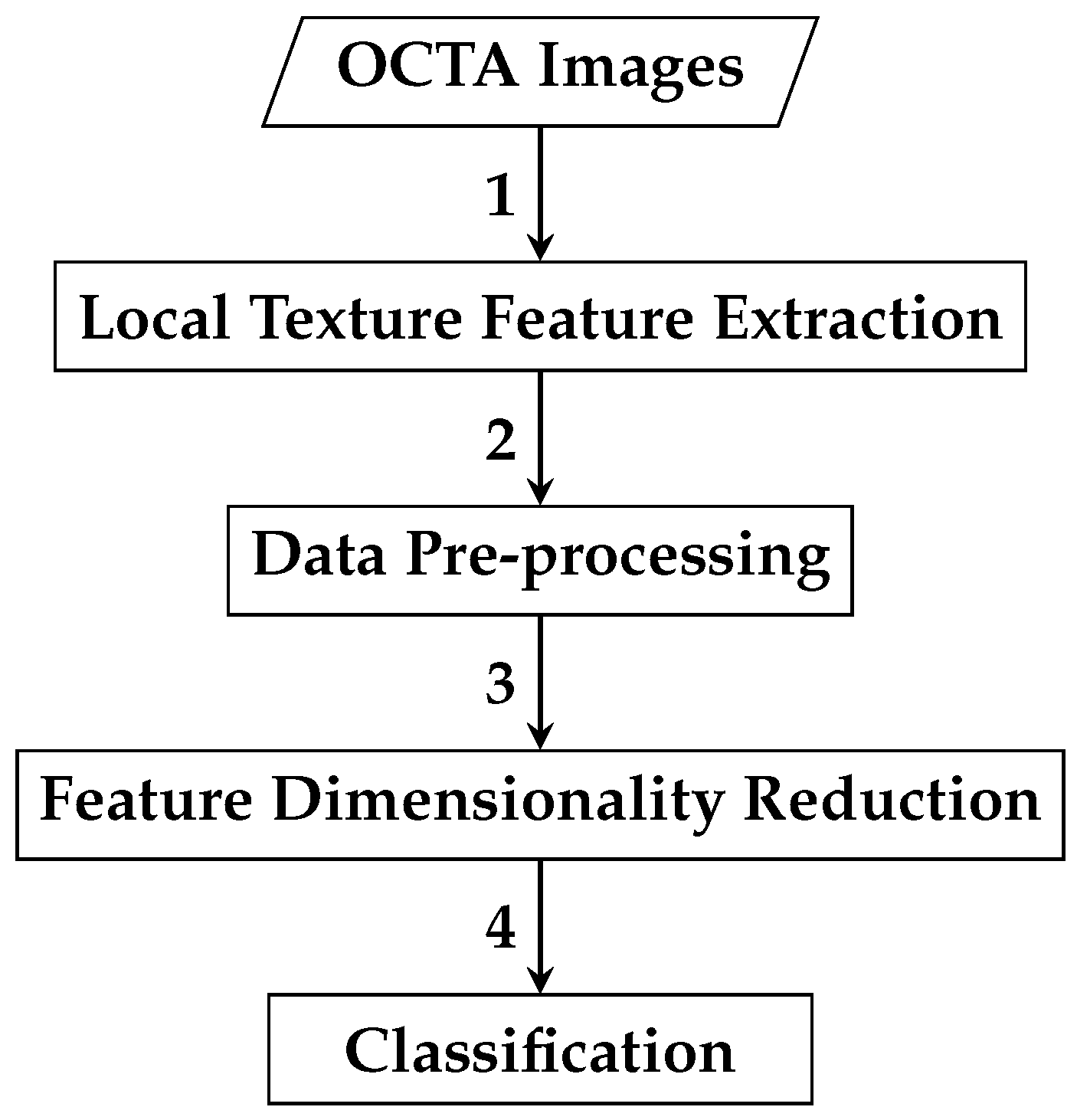 Biomedicines 13 02152 g008