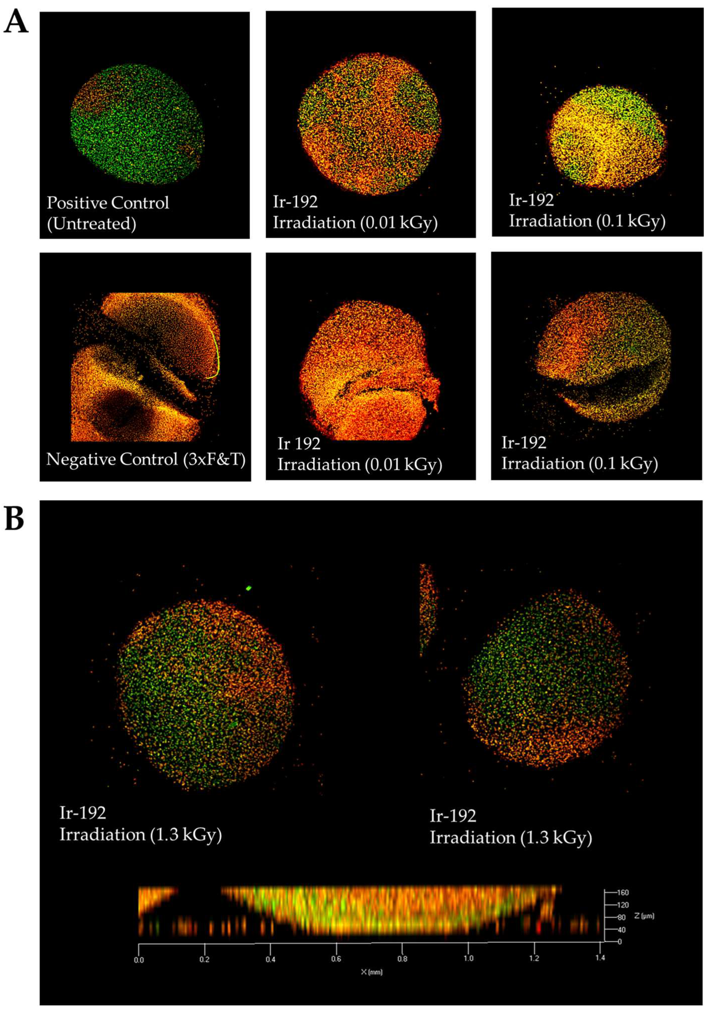 Biomedicines 13 02153 g002