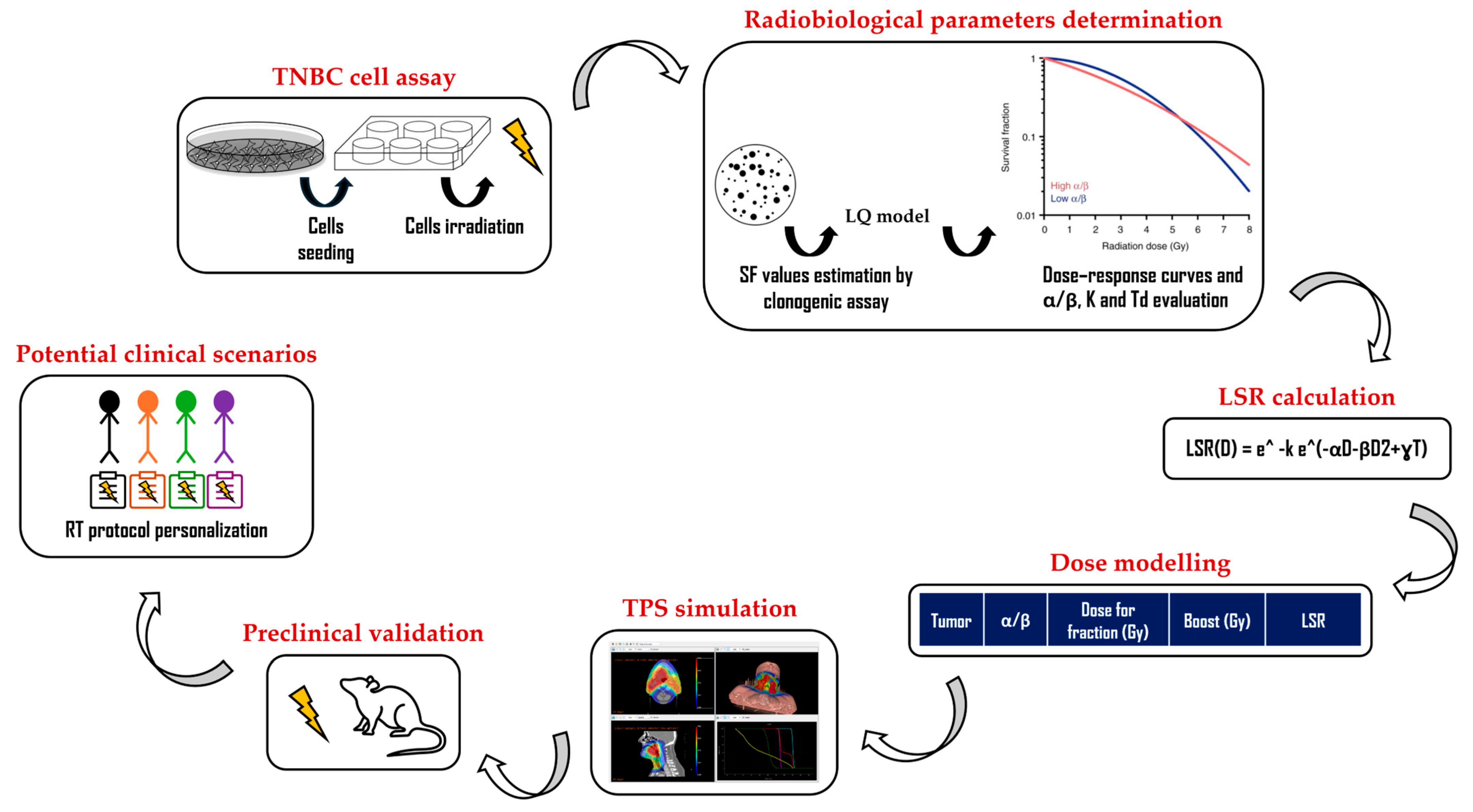 Biomedicines 13 02154 g002 Biomedicines 13 02154 g002