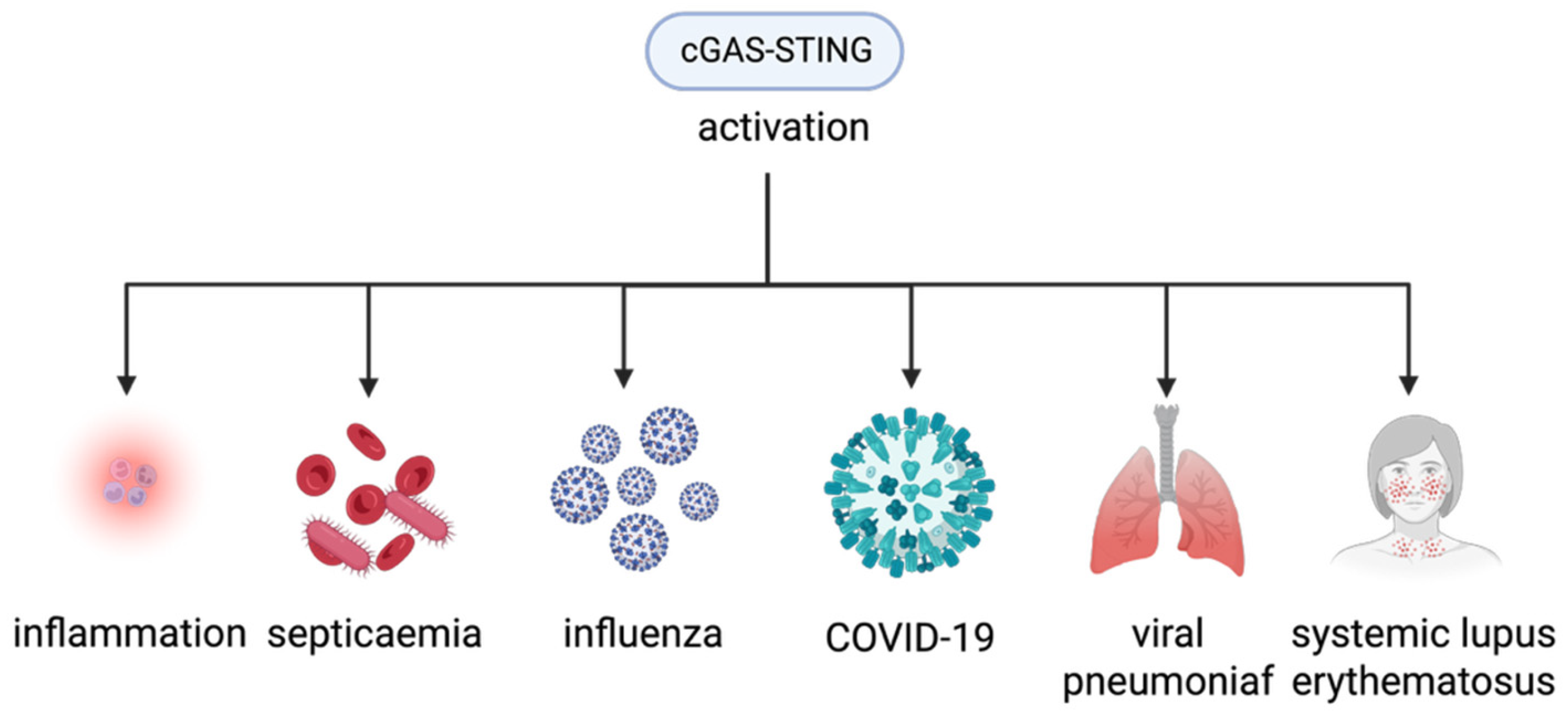 Biomedicines 13 02158 g002
