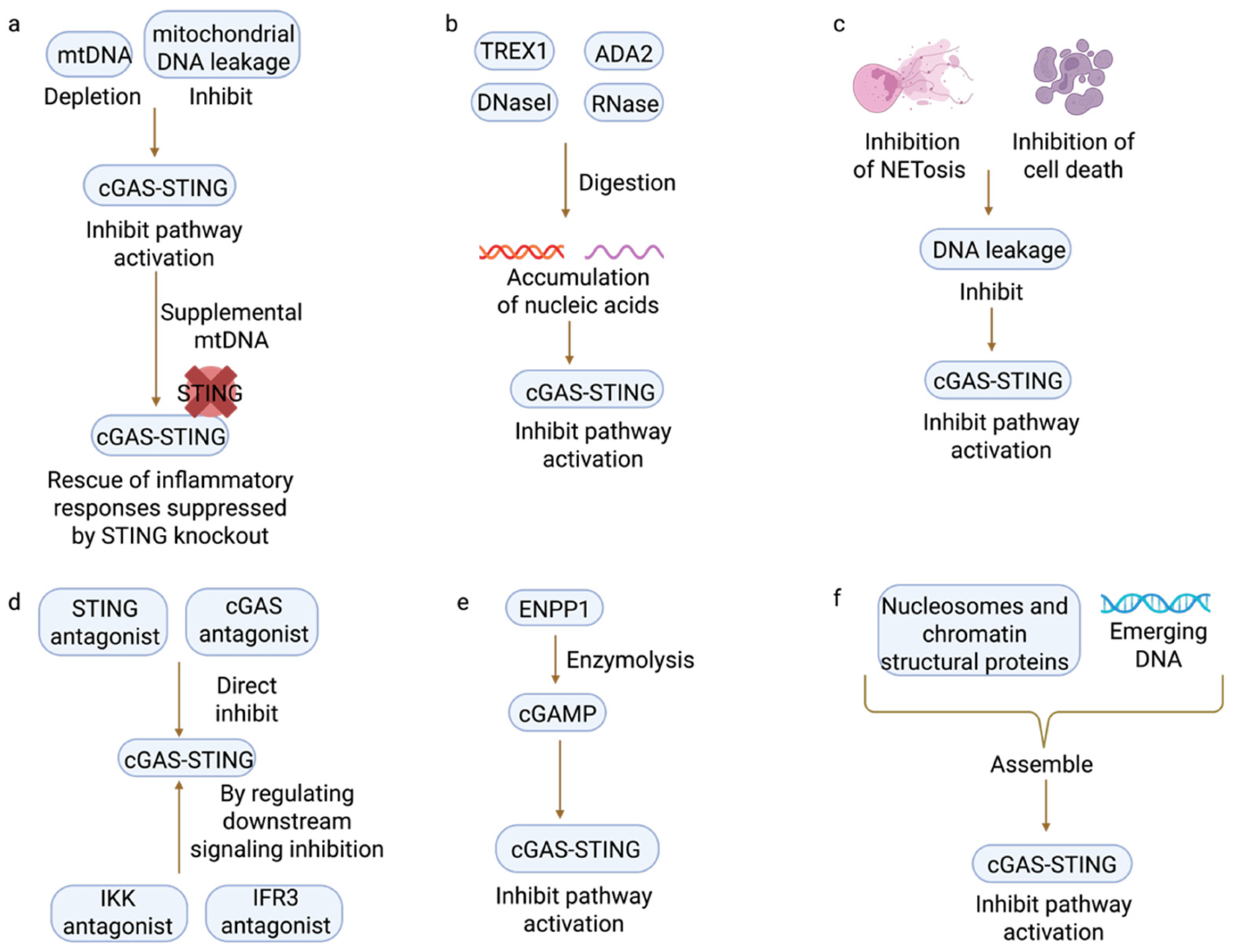 Biomedicines 13 02158 g003