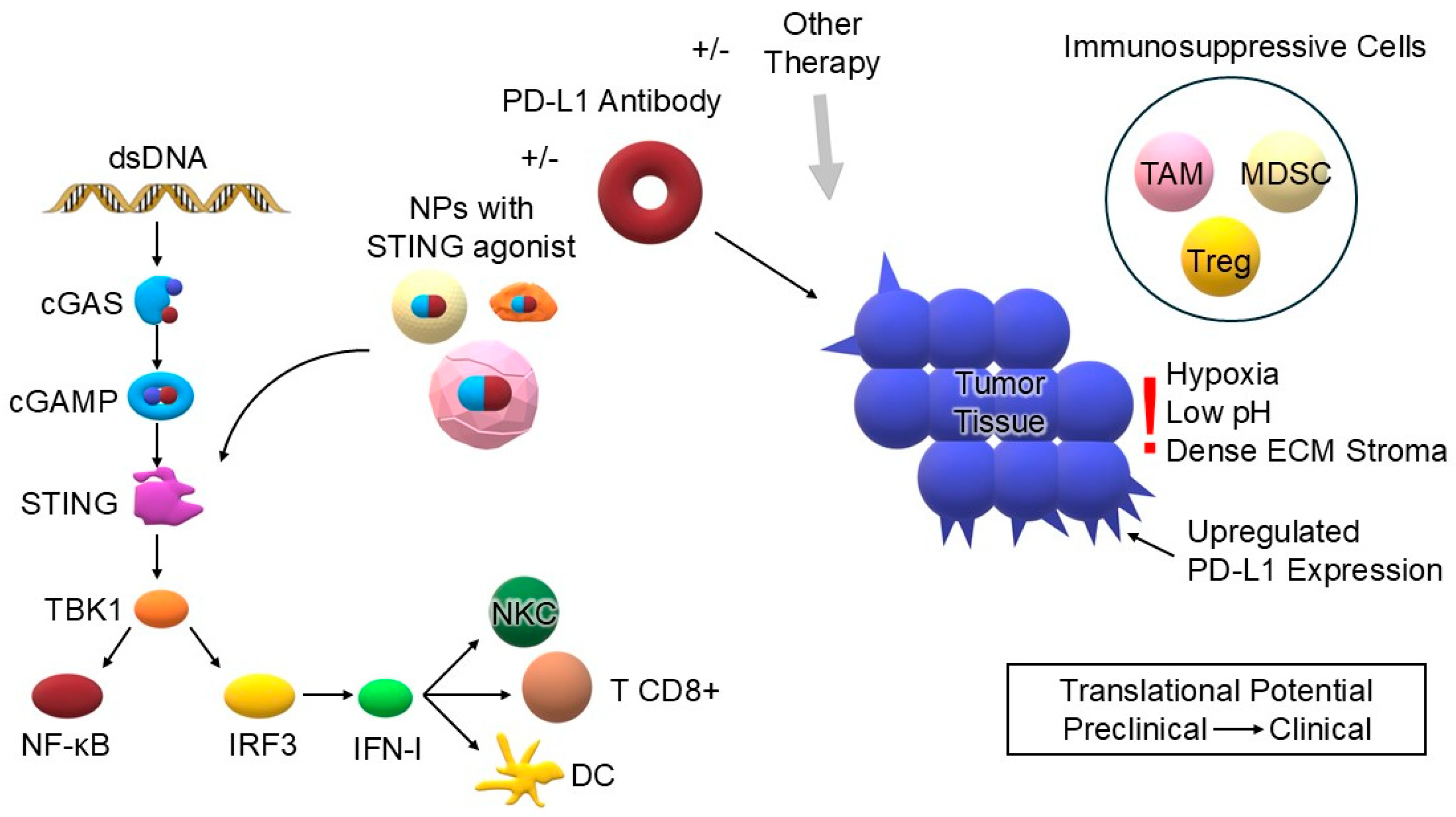 Biomedicines 13 02160 g001