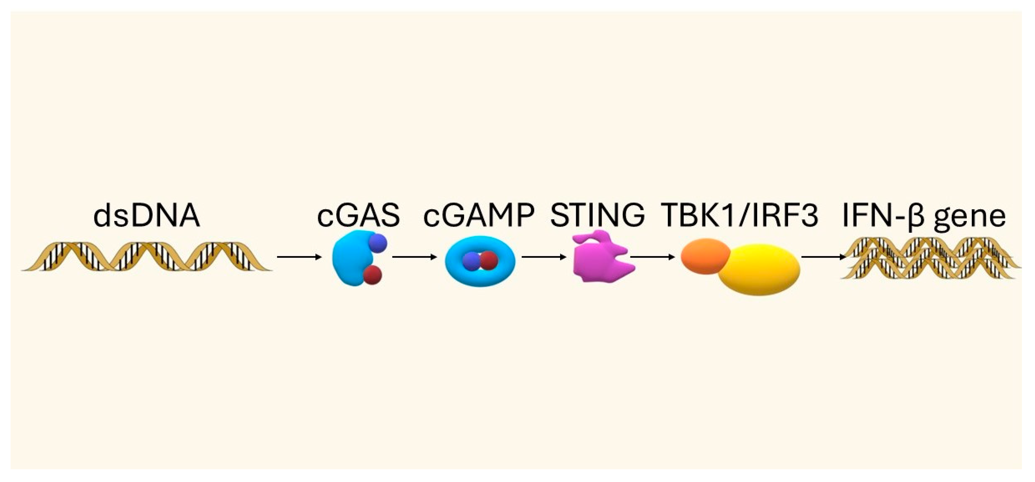 Biomedicines 13 02160 g003