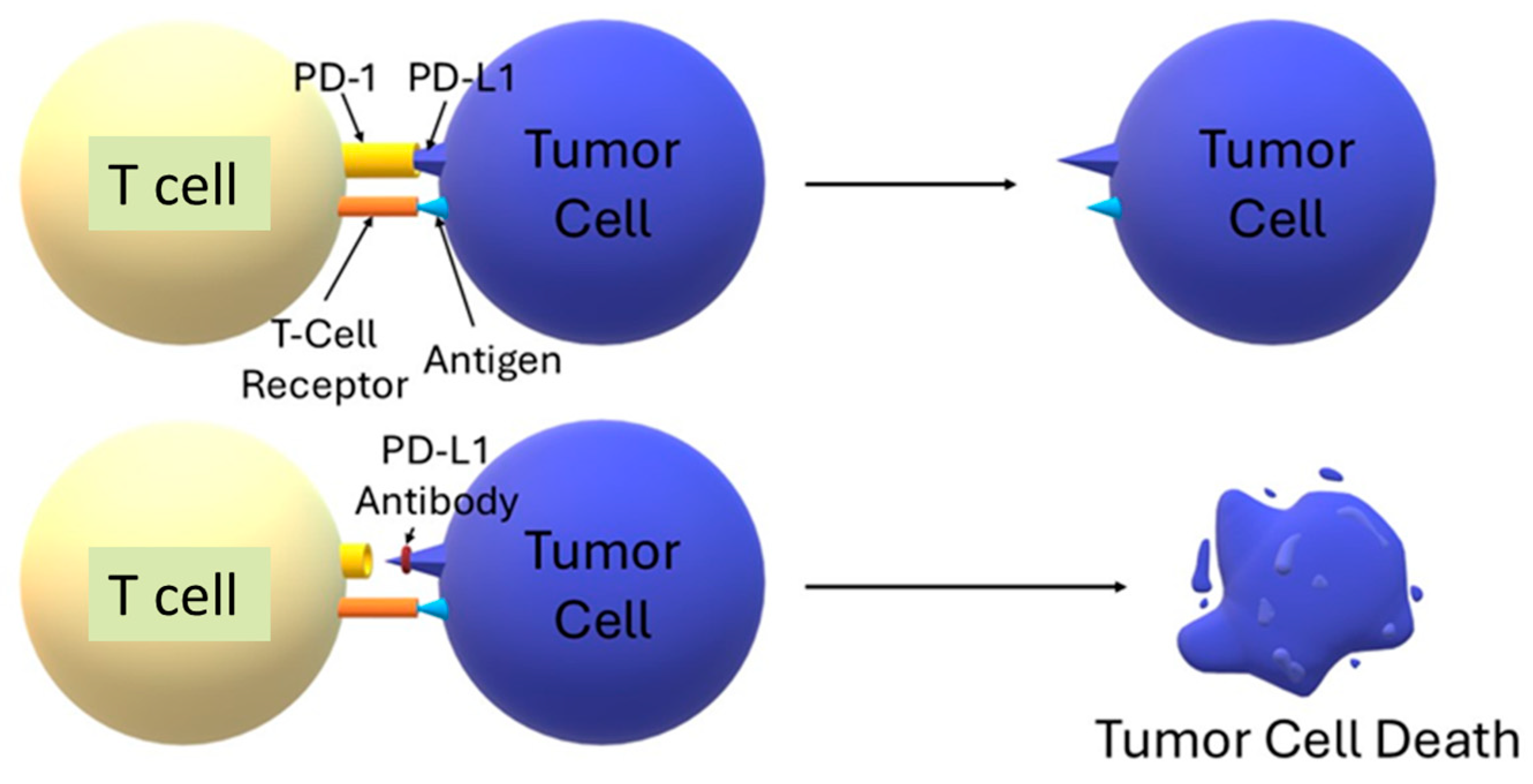Biomedicines 13 02160 g004