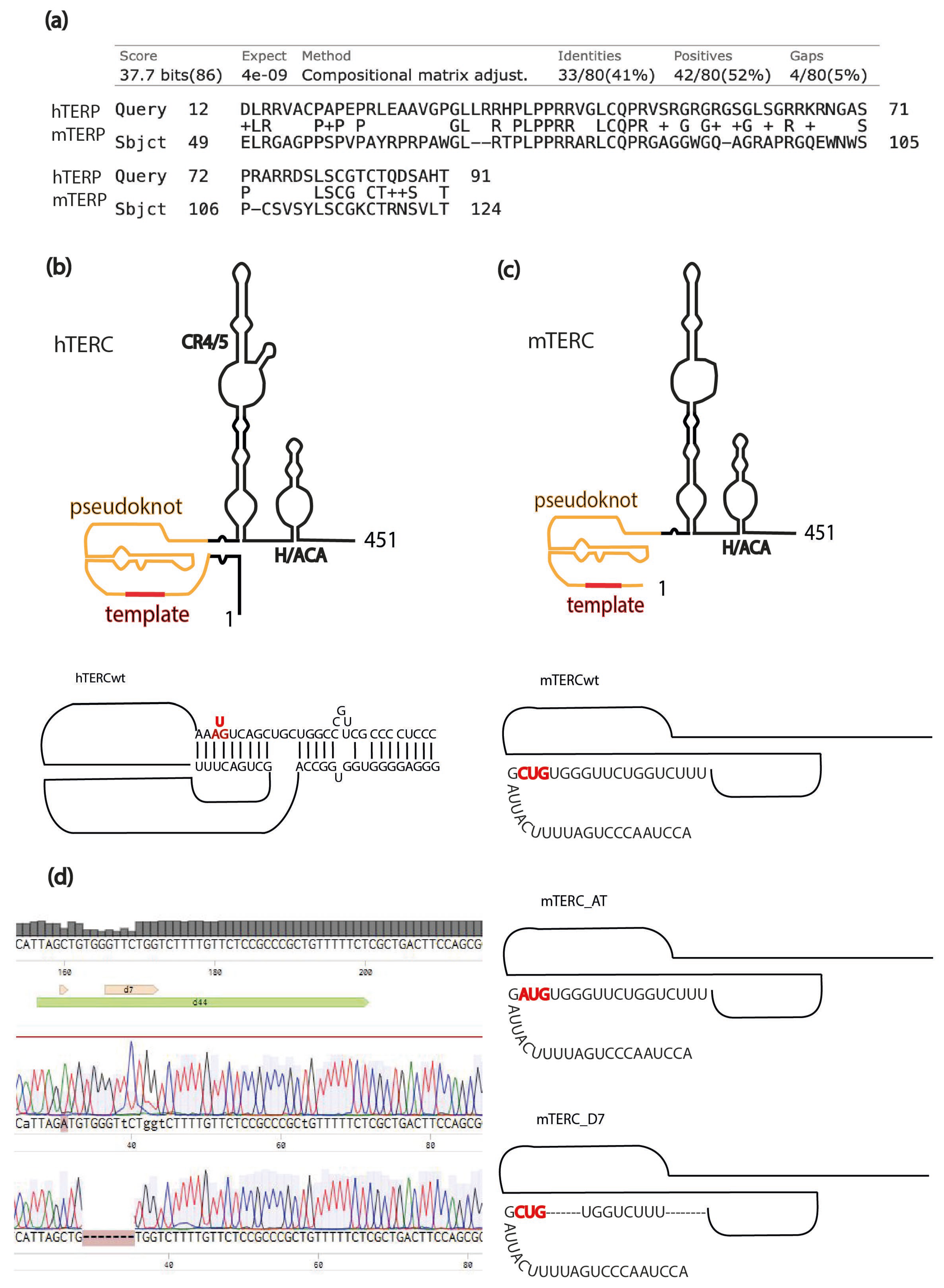 Biomedicines 13 02166 g001
