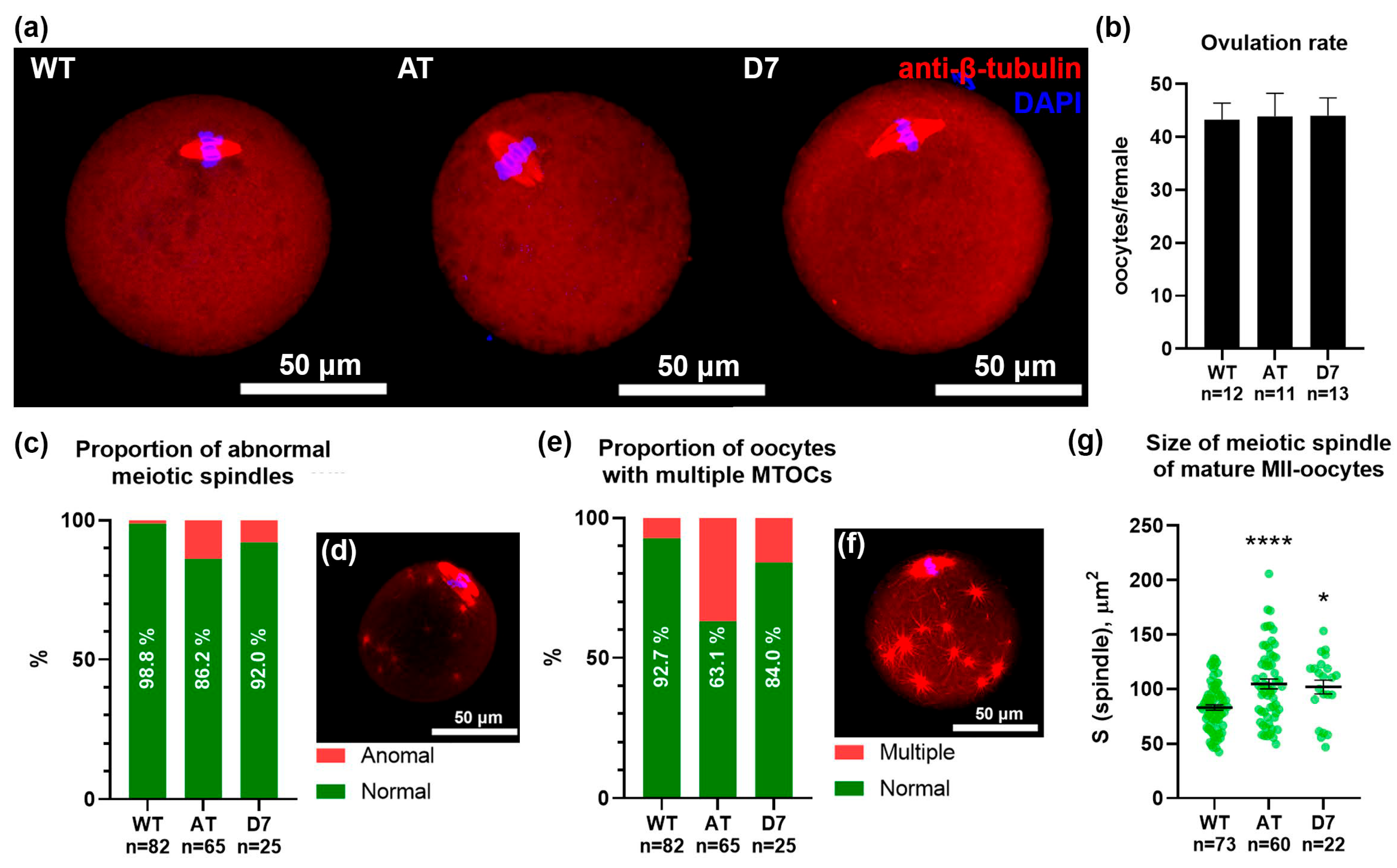 Biomedicines 13 02166 g003
