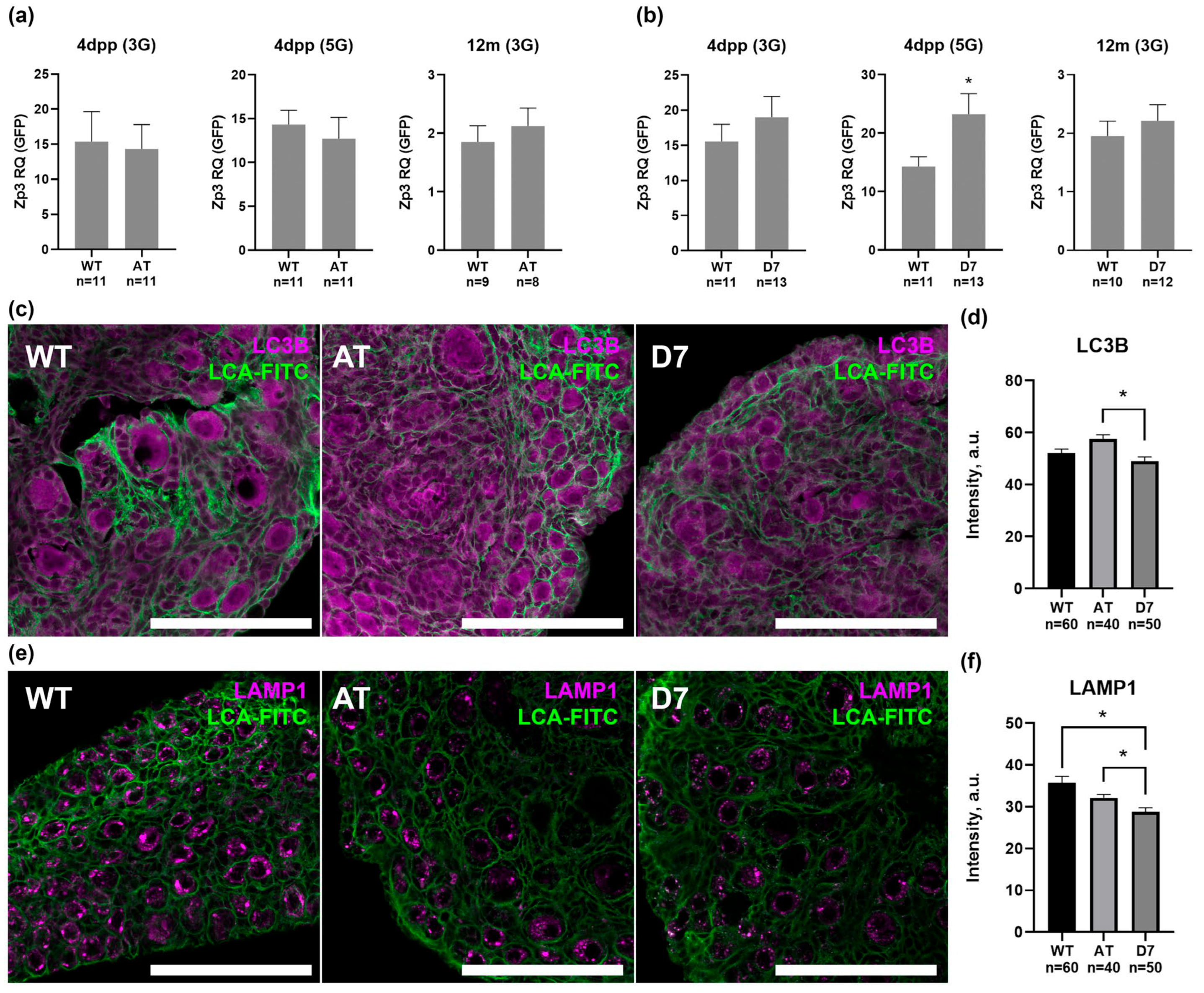 Biomedicines 13 02166 g005