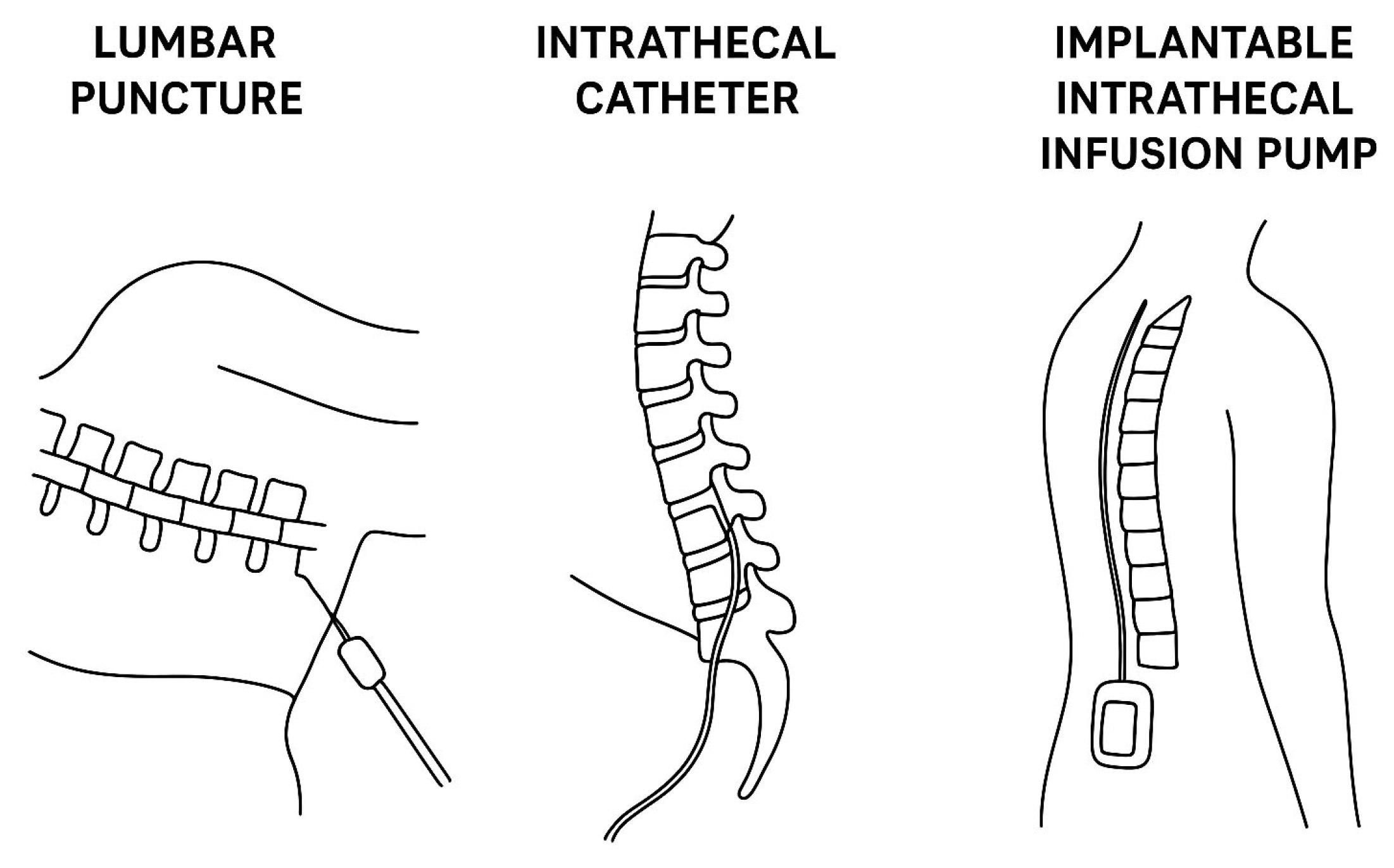 Biomedicines 13 02167 g001 Biomedicines 13 02167 g001