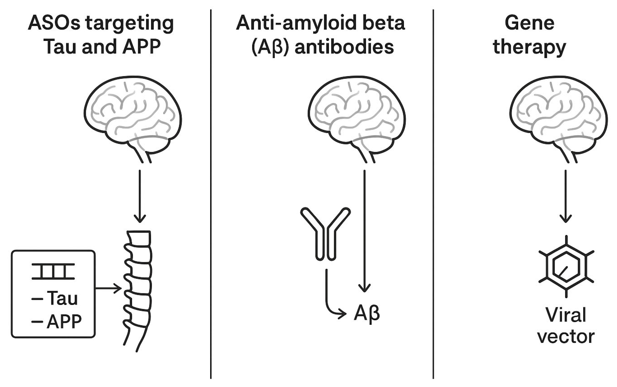 Biomedicines 13 02167 g002 Biomedicines 13 02167 g002