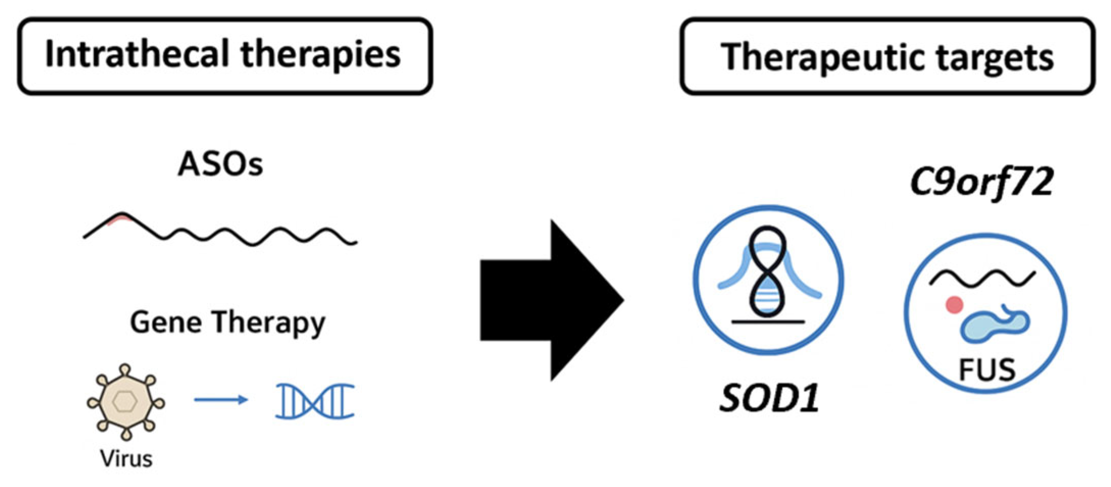 Biomedicines 13 02167 g005 Biomedicines 13 02167 g005
