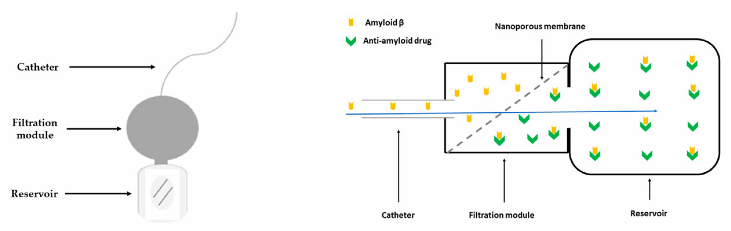 Biomedicines 13 02167 g006 Biomedicines 13 02167 g006