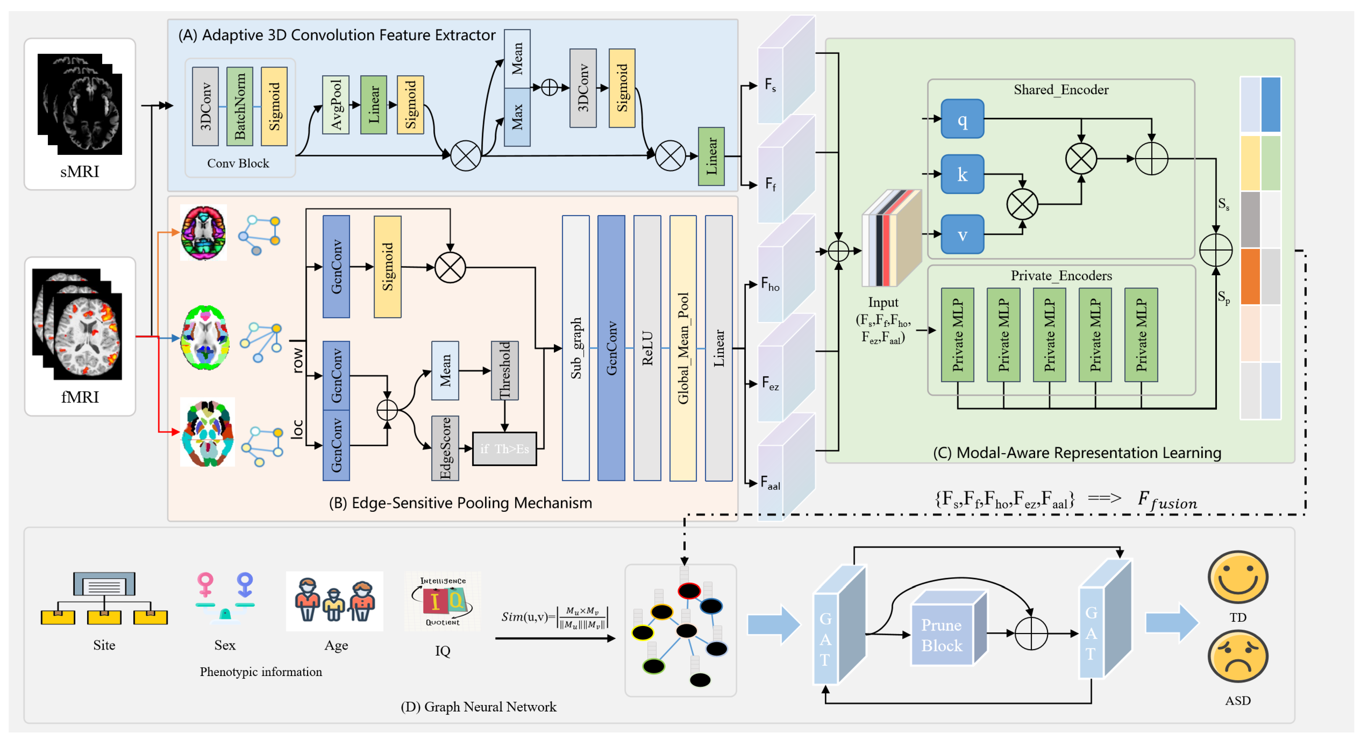 Biomedicines 13 02168 g001