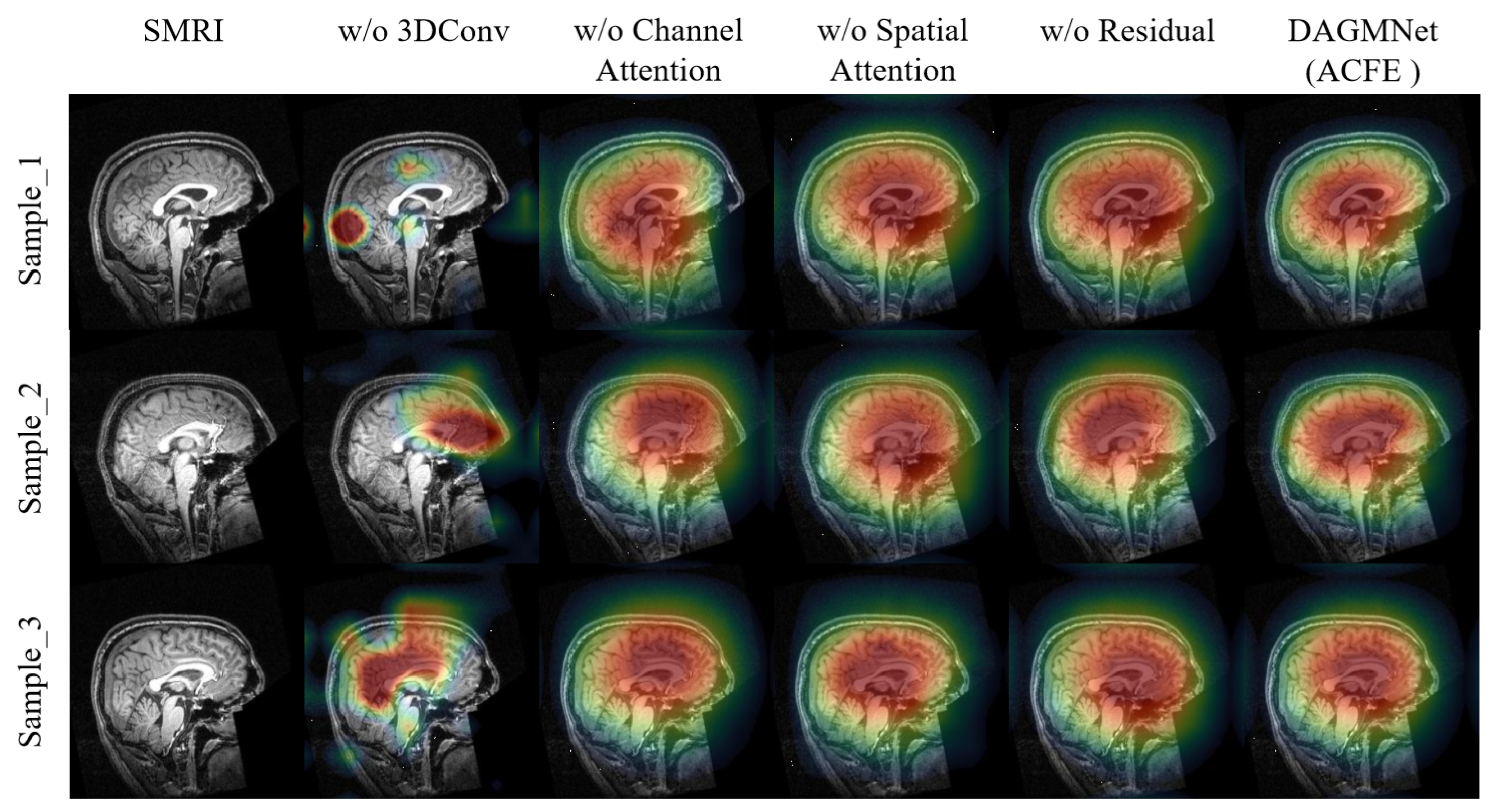 Biomedicines 13 02168 g004