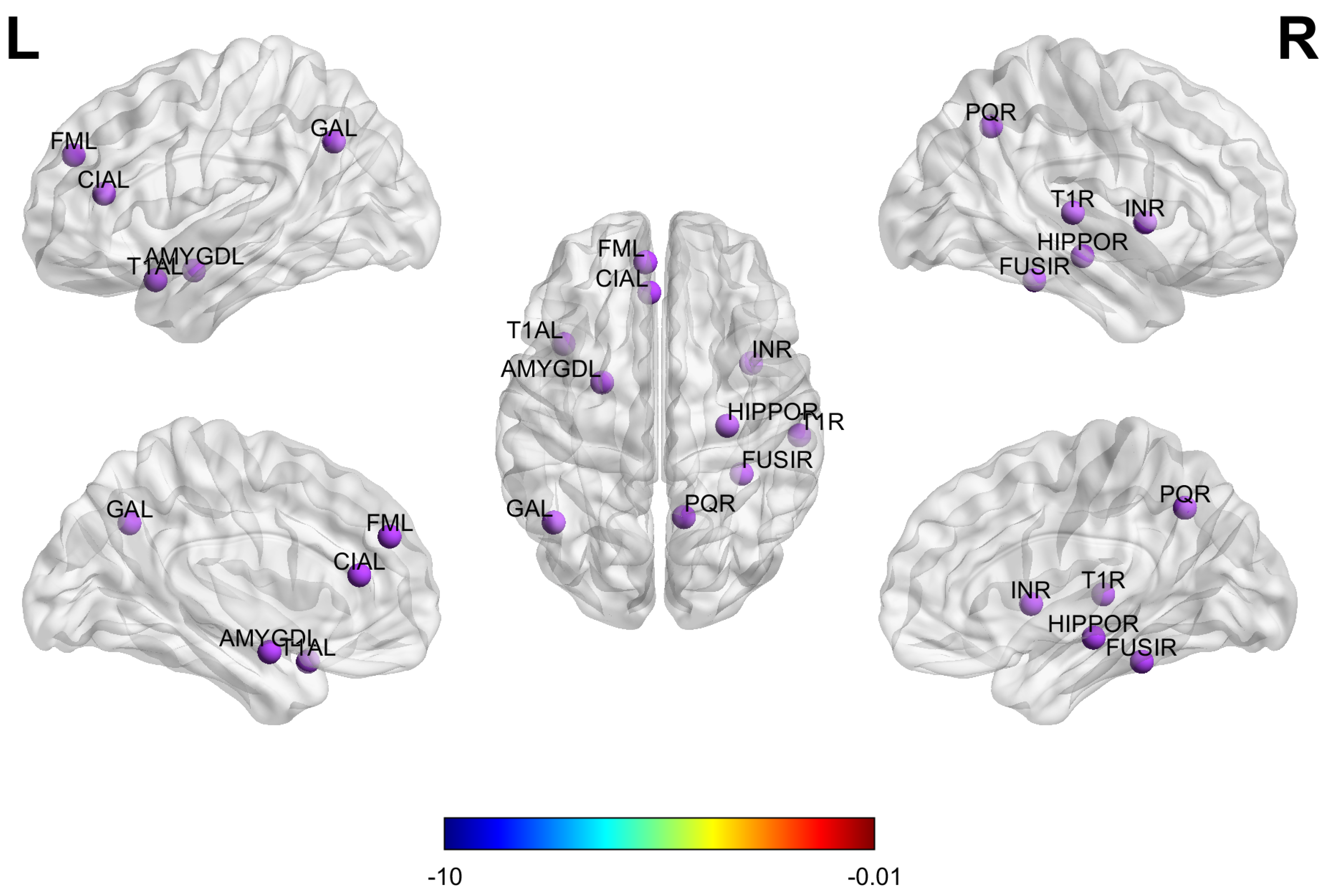Biomedicines 13 02168 g008