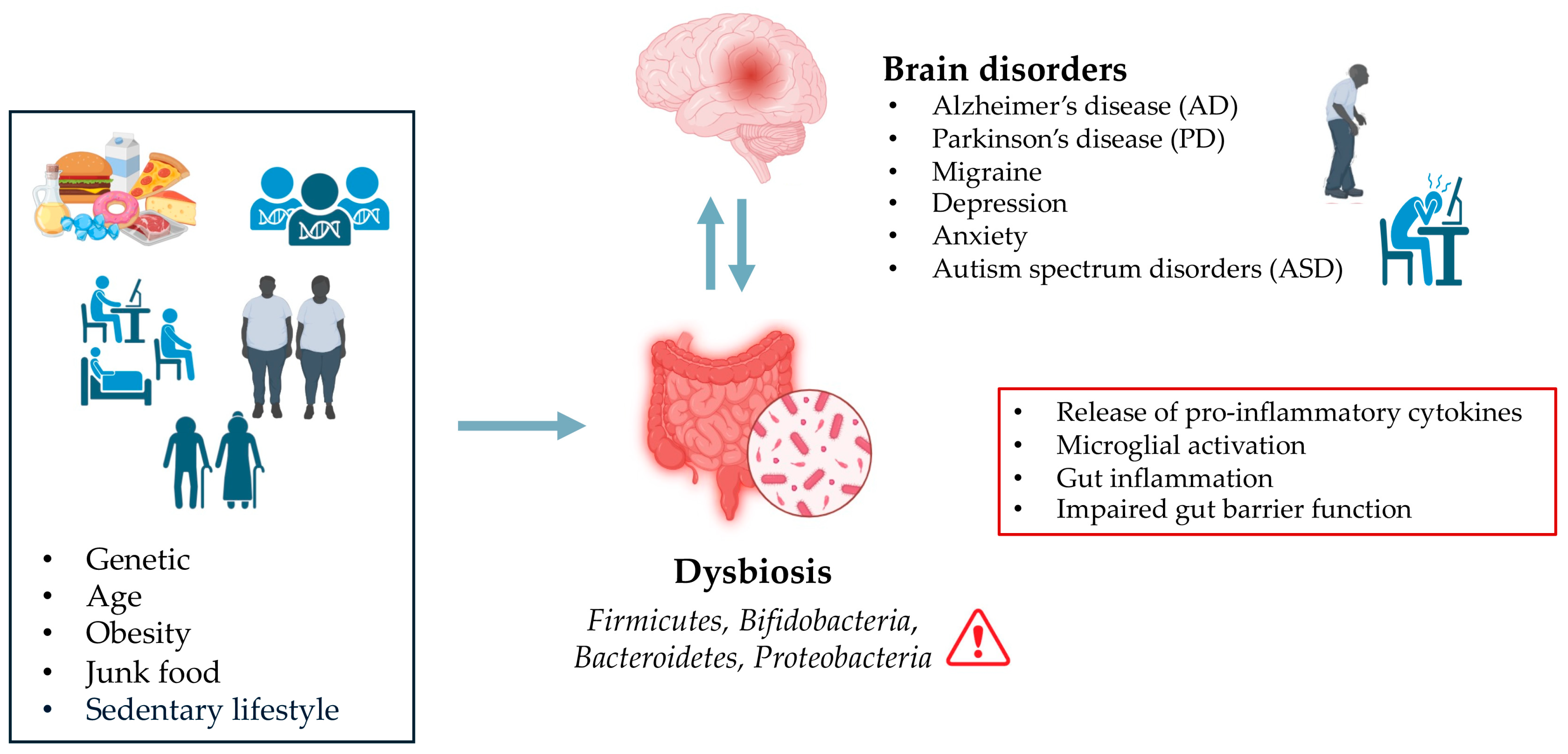Biomedicines 13 02172 g001