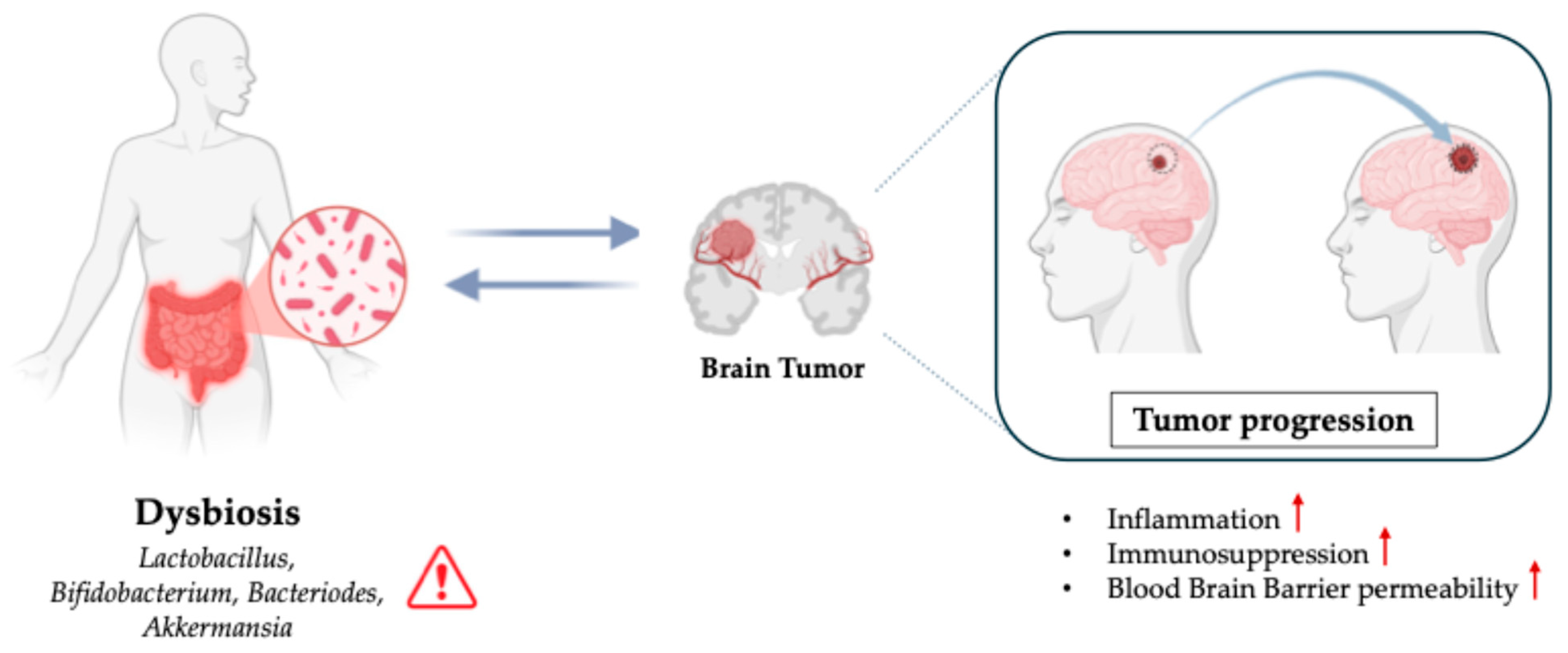 Biomedicines 13 02172 g002
