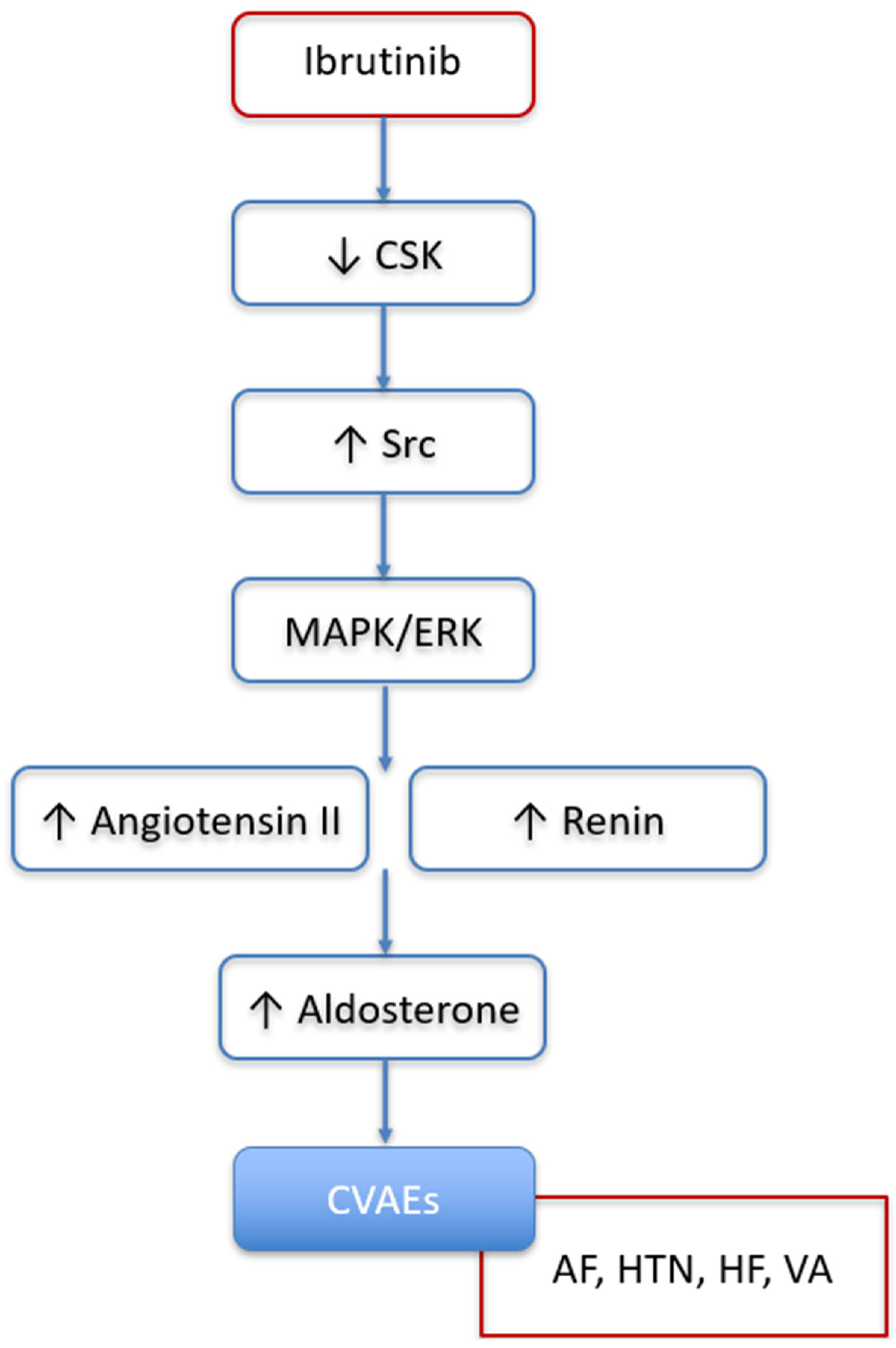 Biomedicines 13 02184 g004