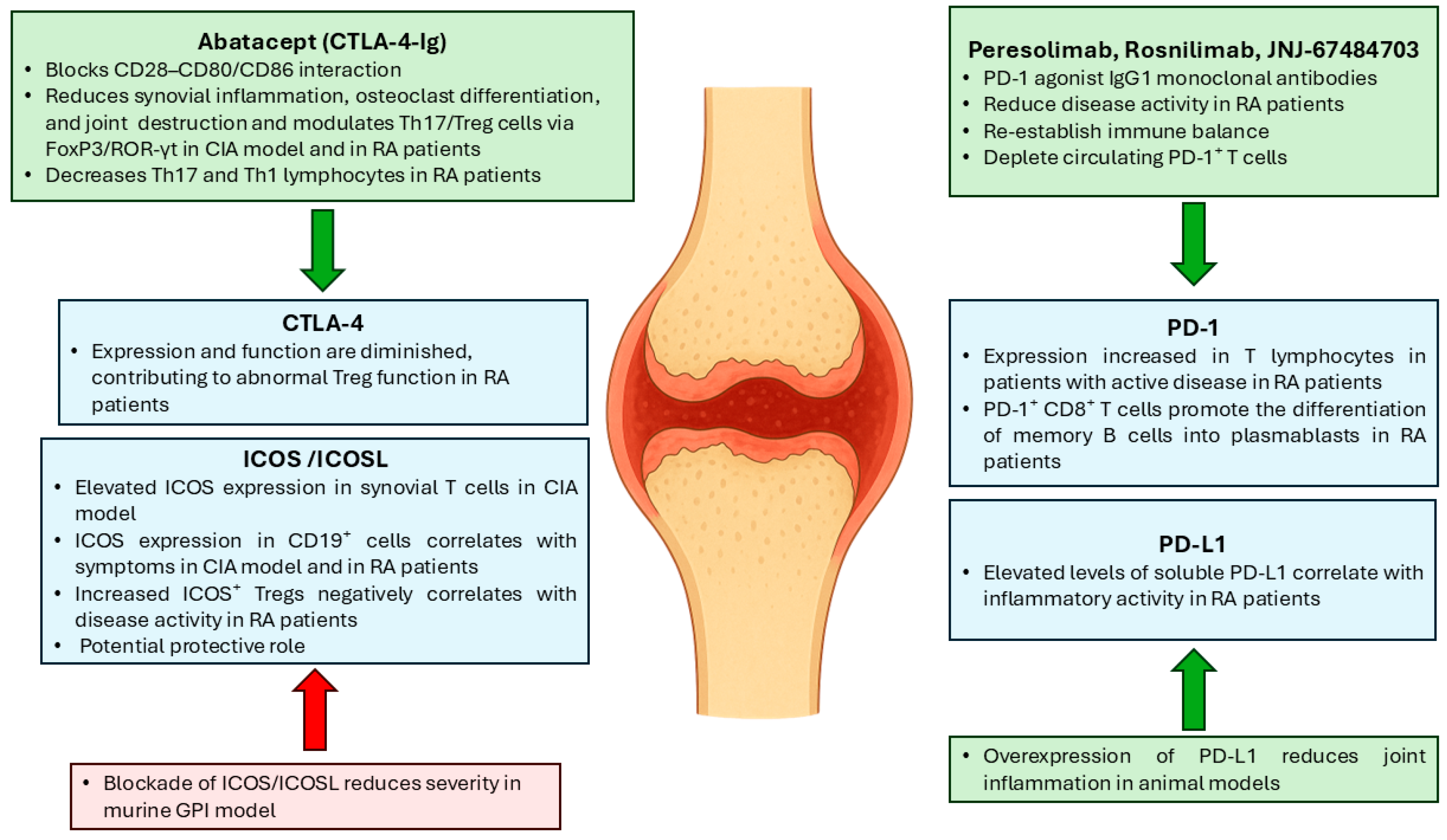 Biomedicines 13 02186 g001