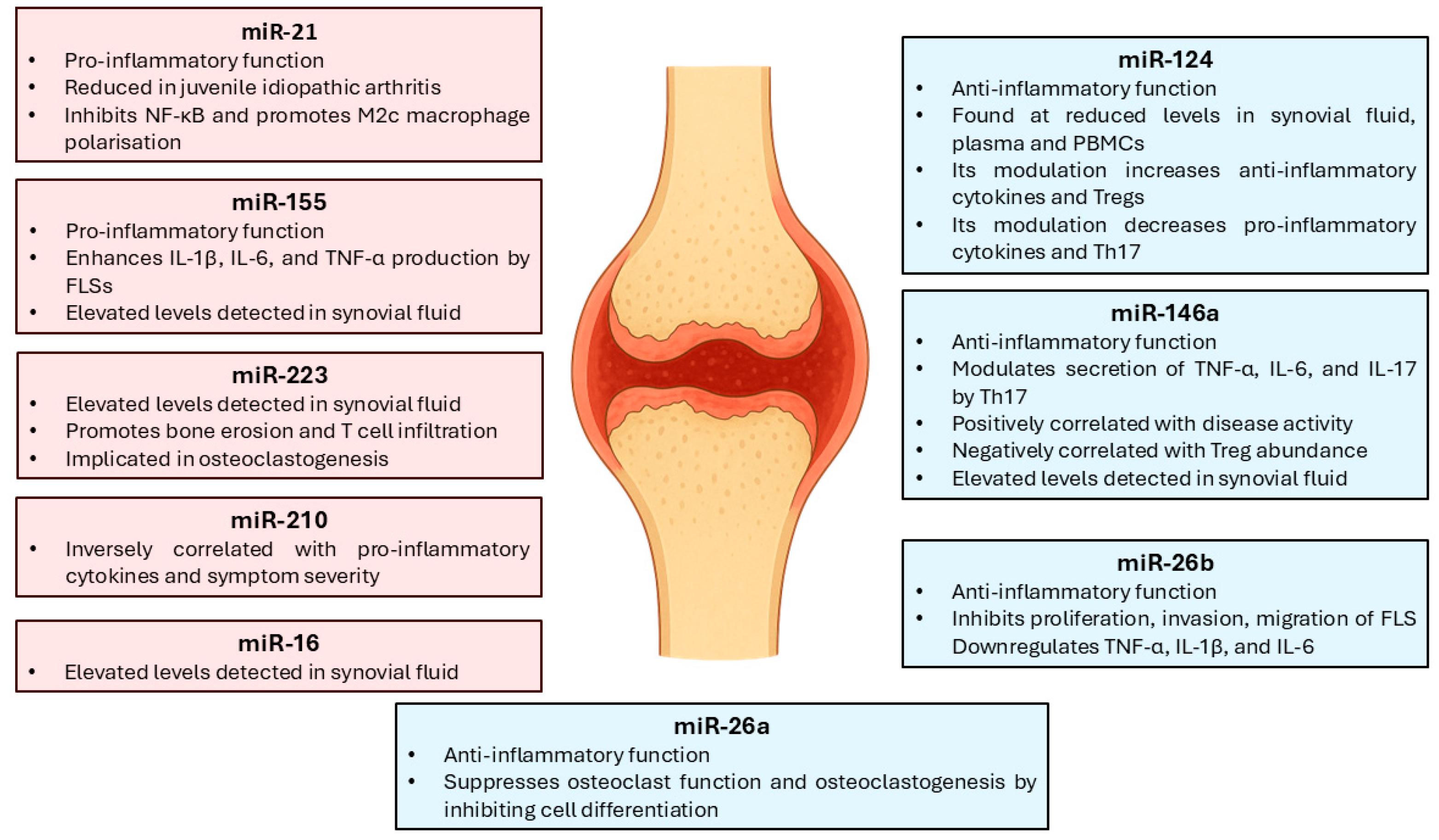Biomedicines 13 02186 g002