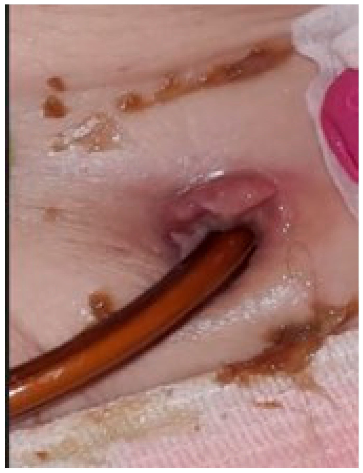 Biomedicines 13 02191 g002