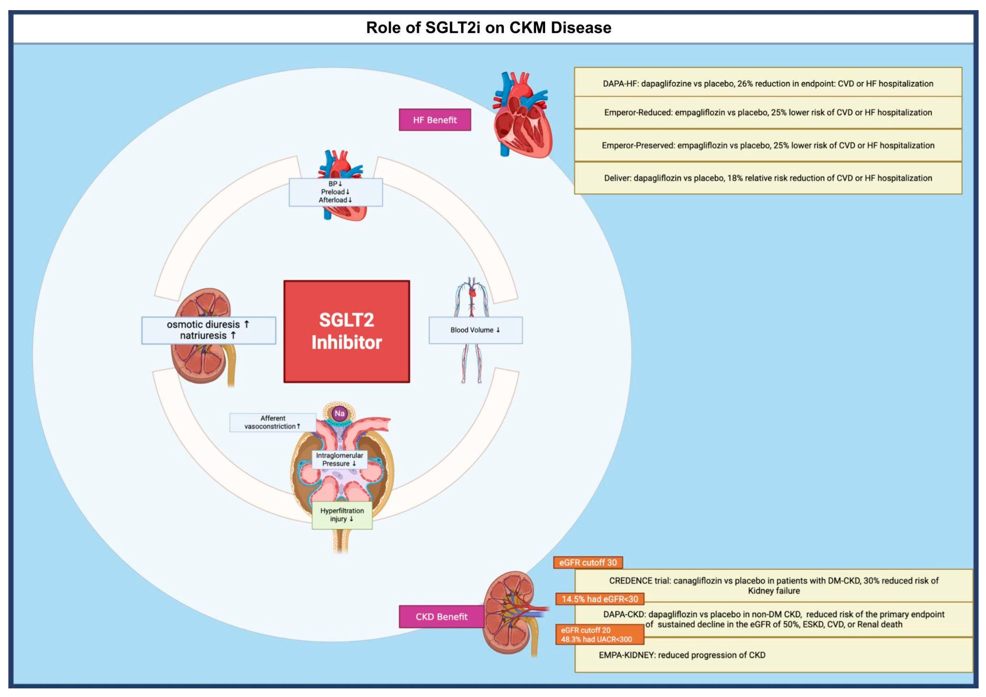Biomedicines 13 02192 g001 Biomedicines 13 02192 g001