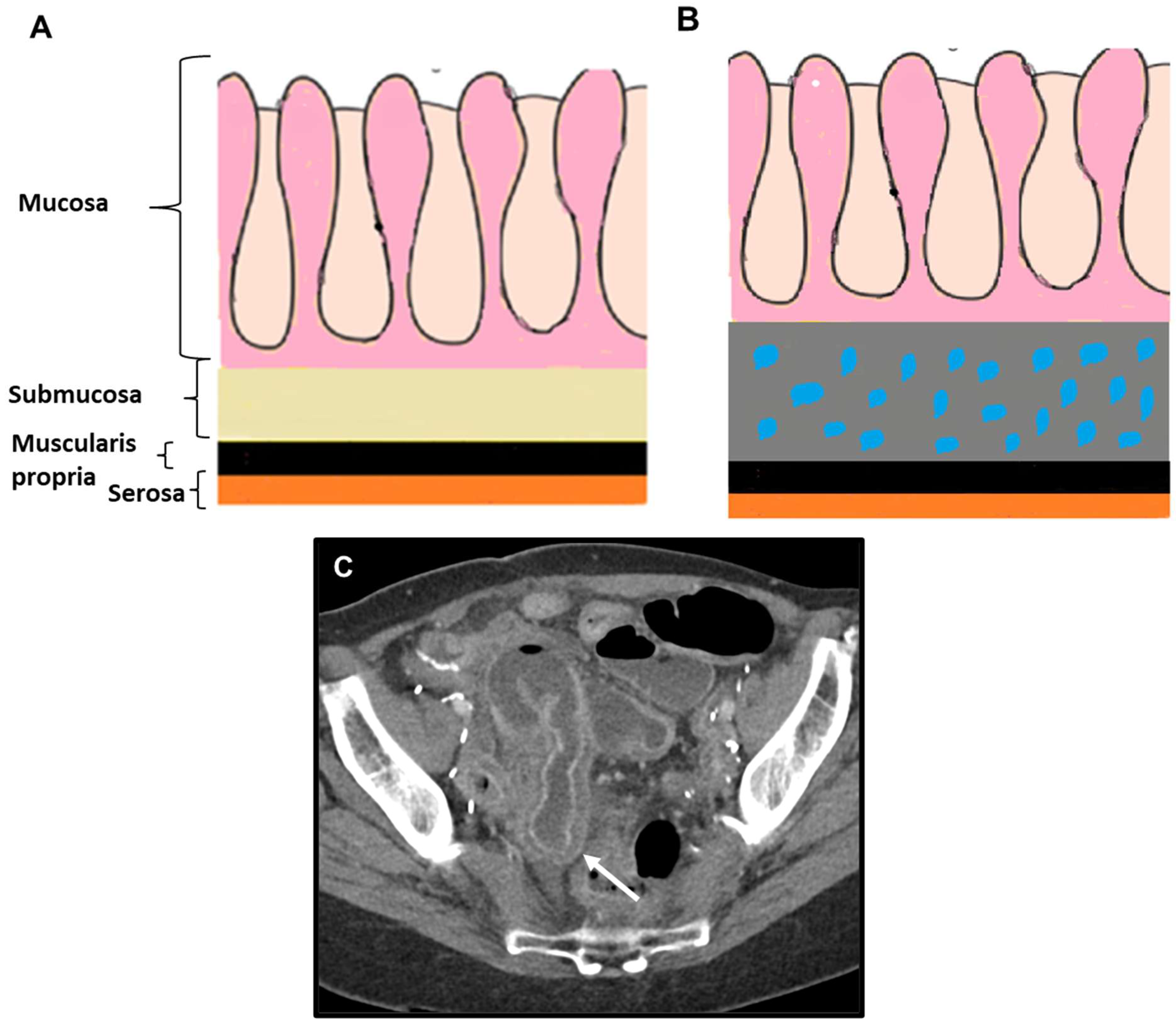 Biomedicines 13 02197 g001