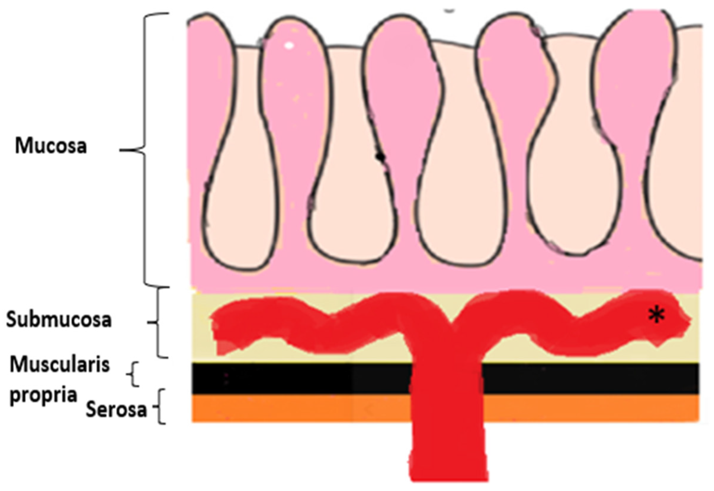 Biomedicines 13 02197 g003