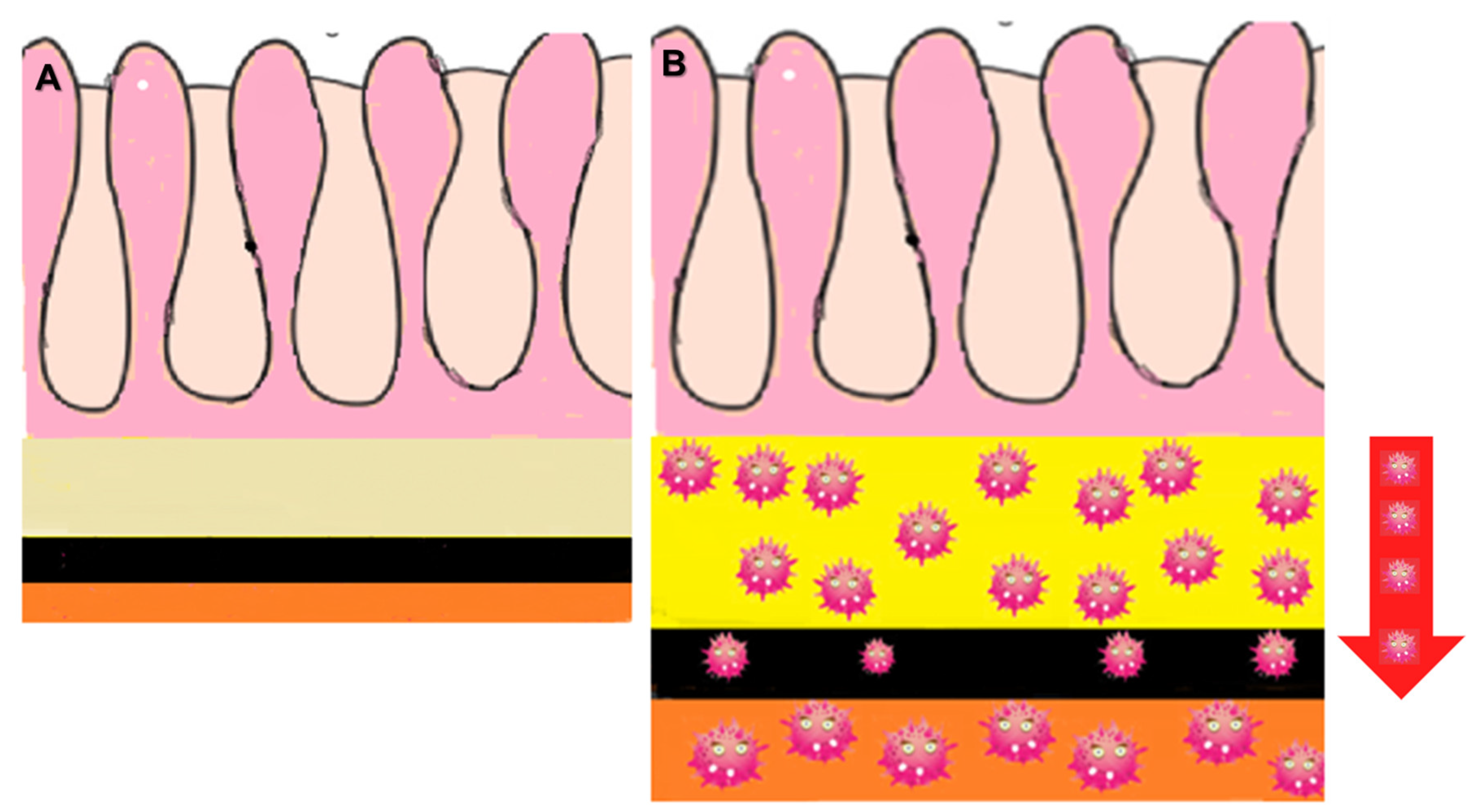 Biomedicines 13 02197 g004