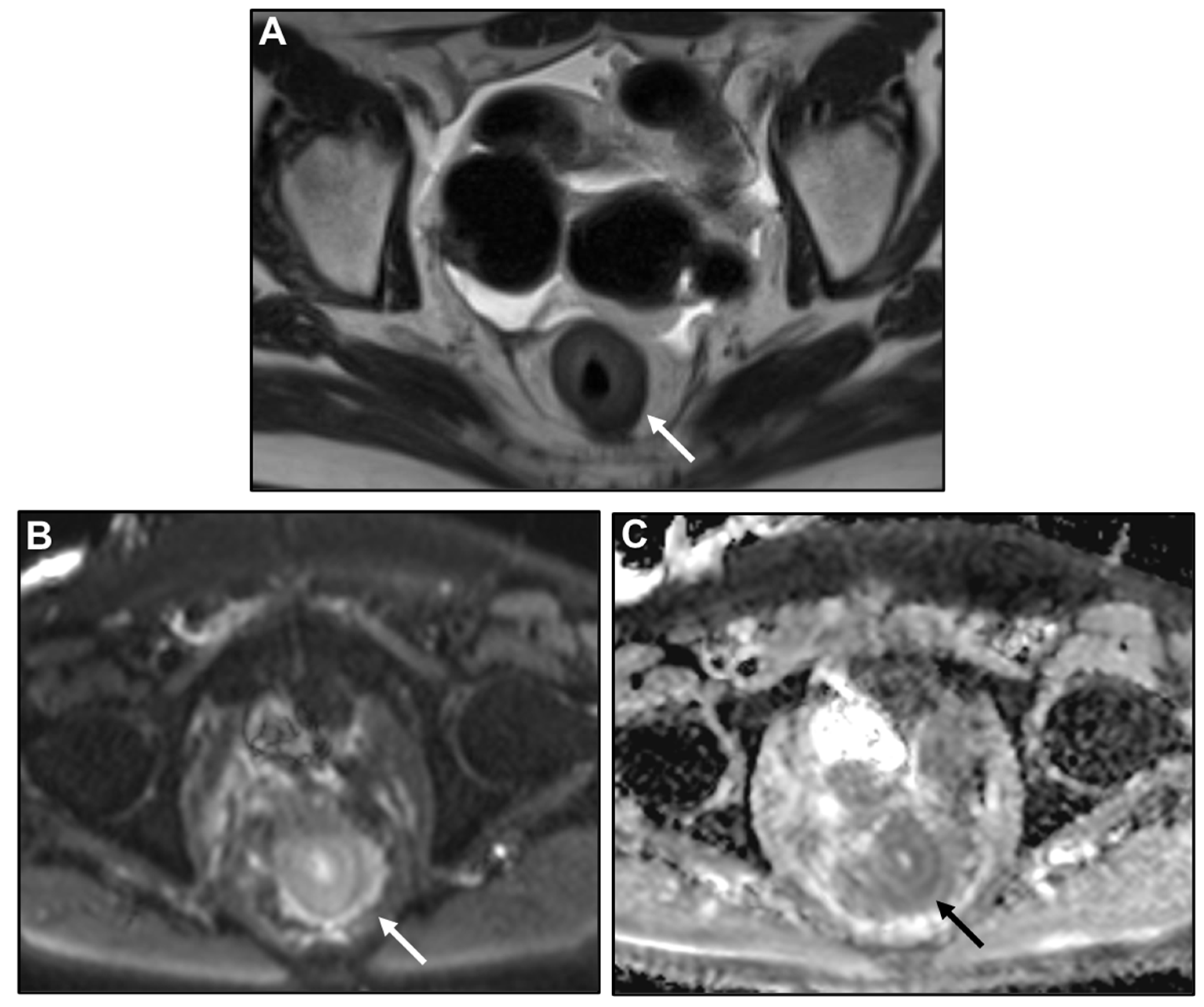 Biomedicines 13 02197 g007