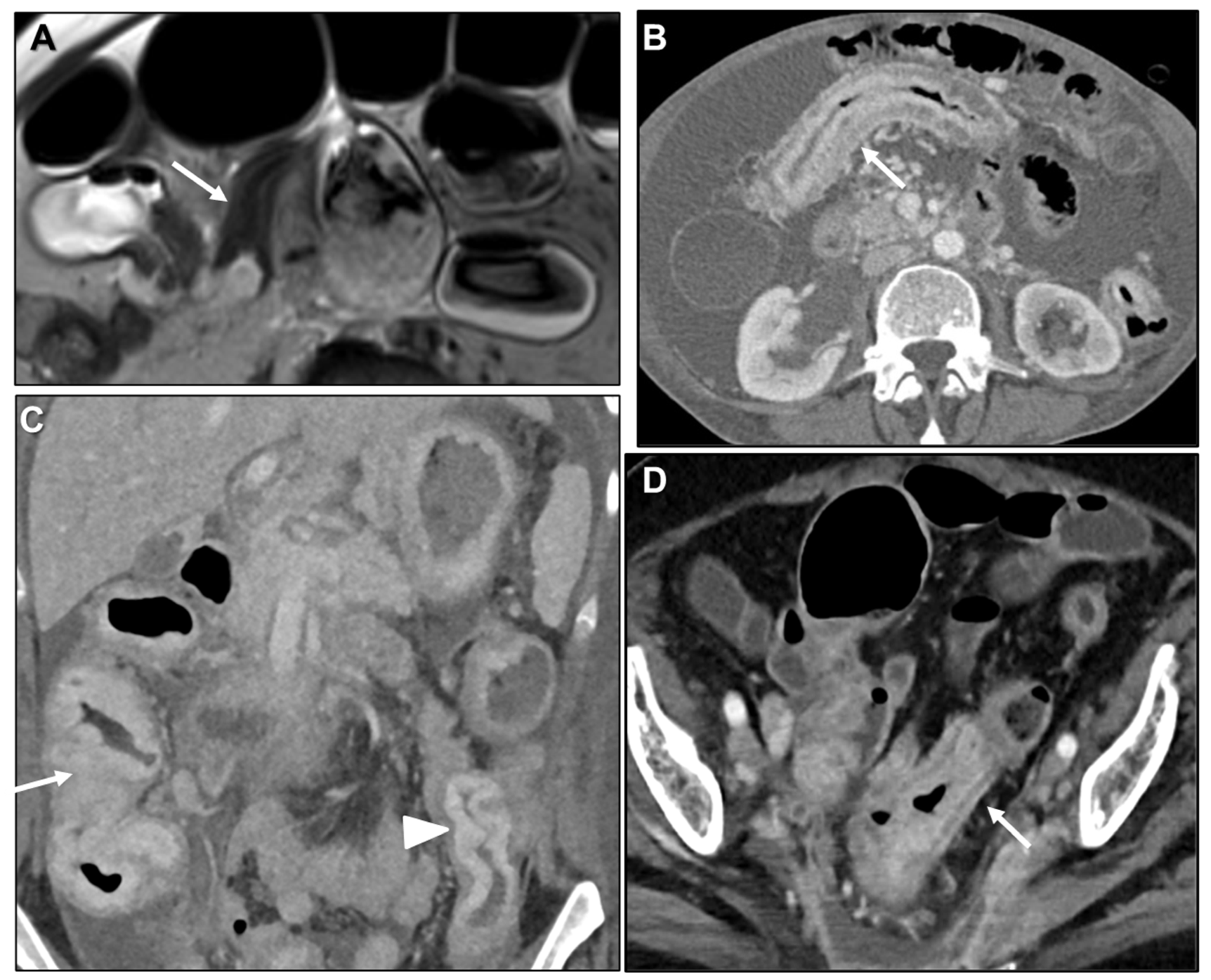 Biomedicines 13 02197 g008