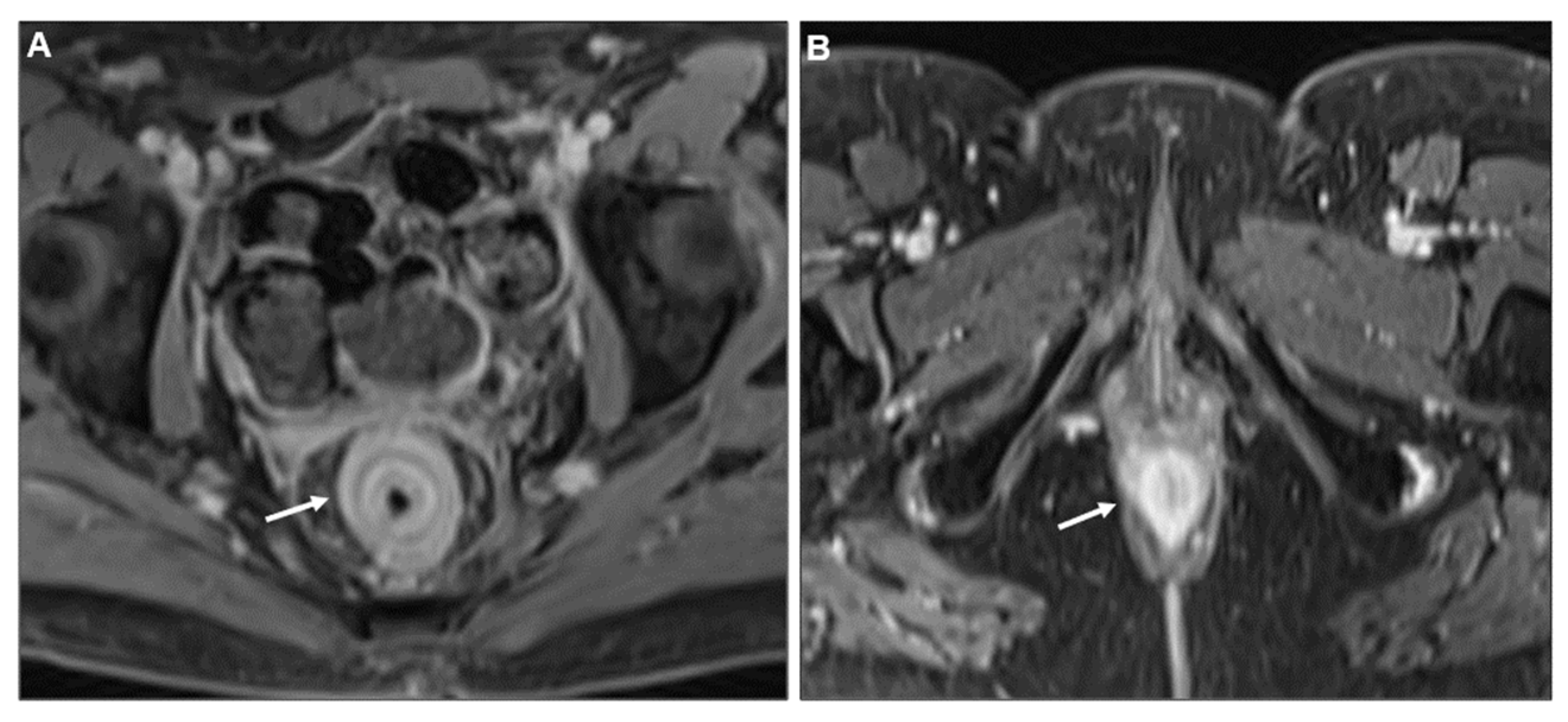 Biomedicines 13 02197 g009