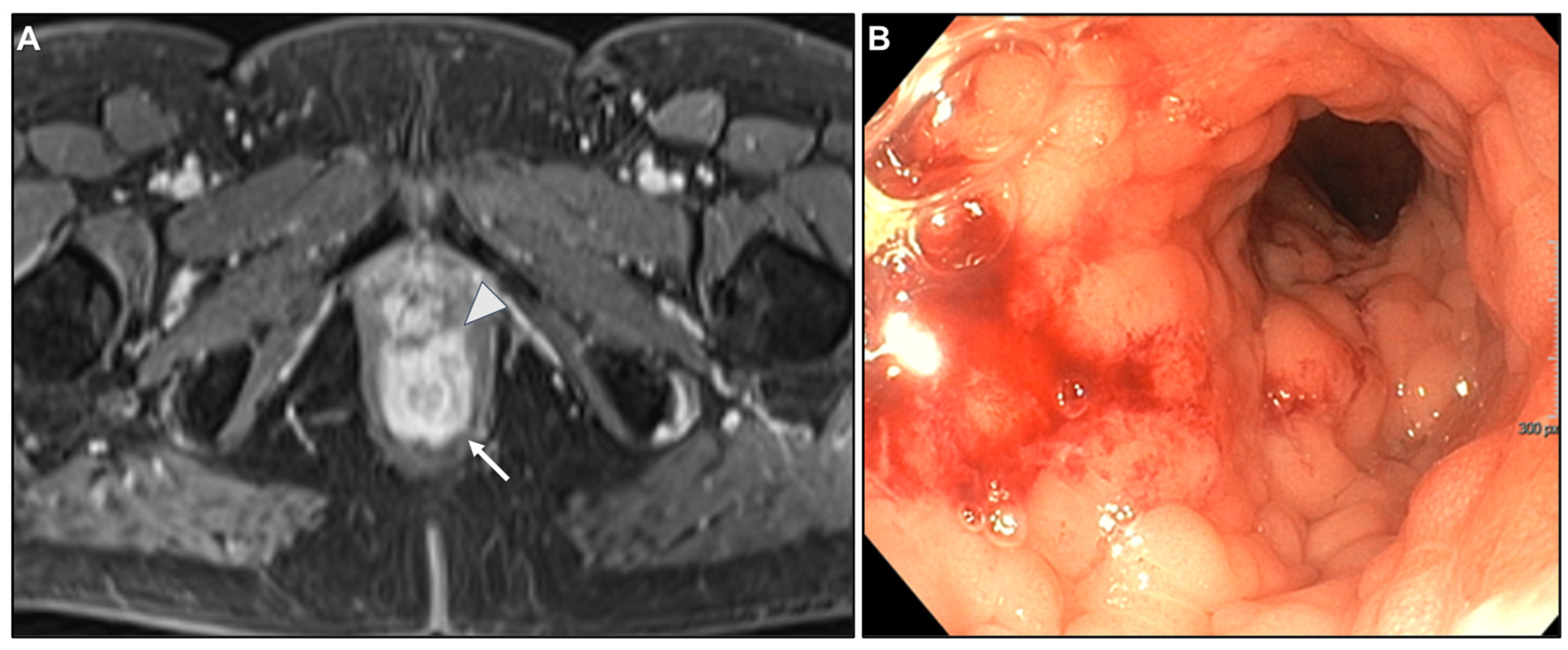 Biomedicines 13 02197 g011