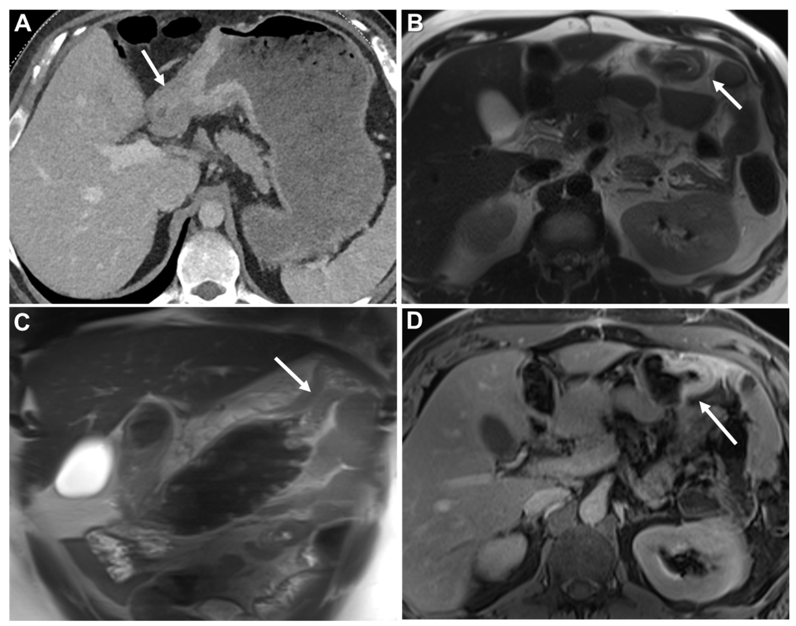 Biomedicines 13 02197 g014