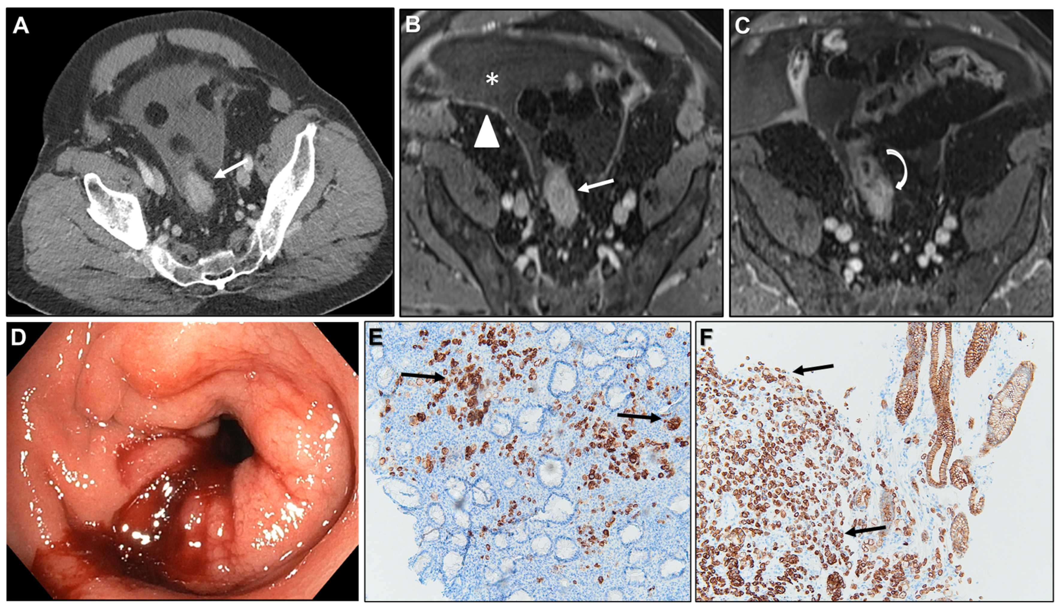 Biomedicines 13 02197 g017