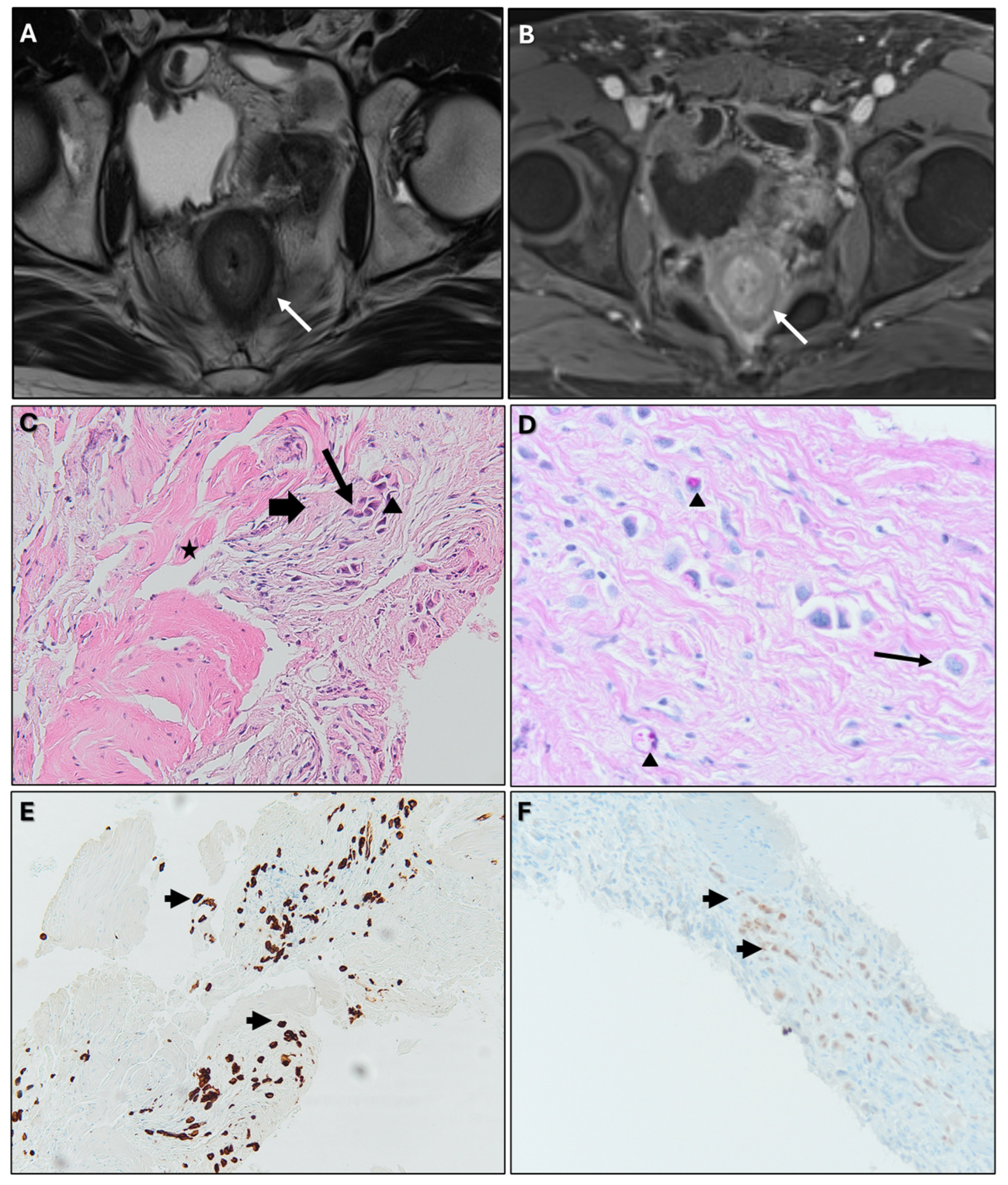 Biomedicines 13 02197 g018