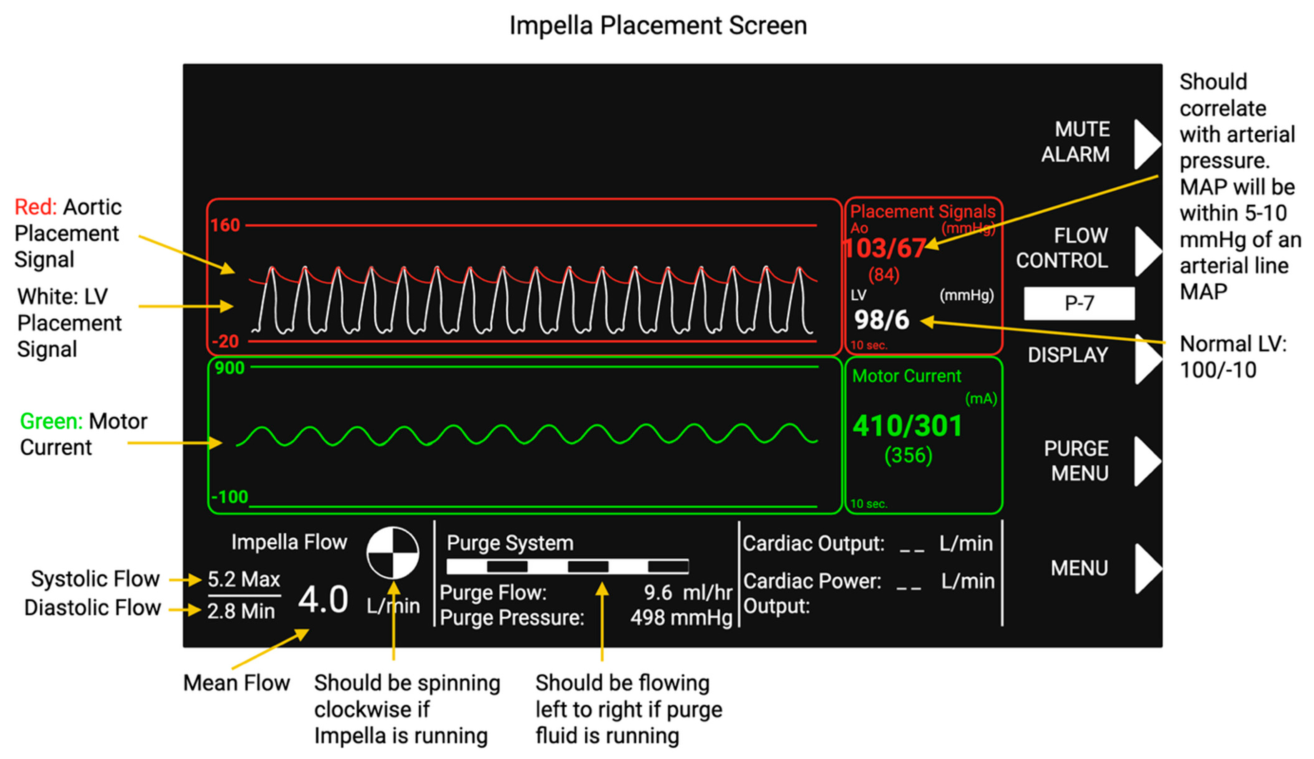 Biomedicines 13 02198 g004