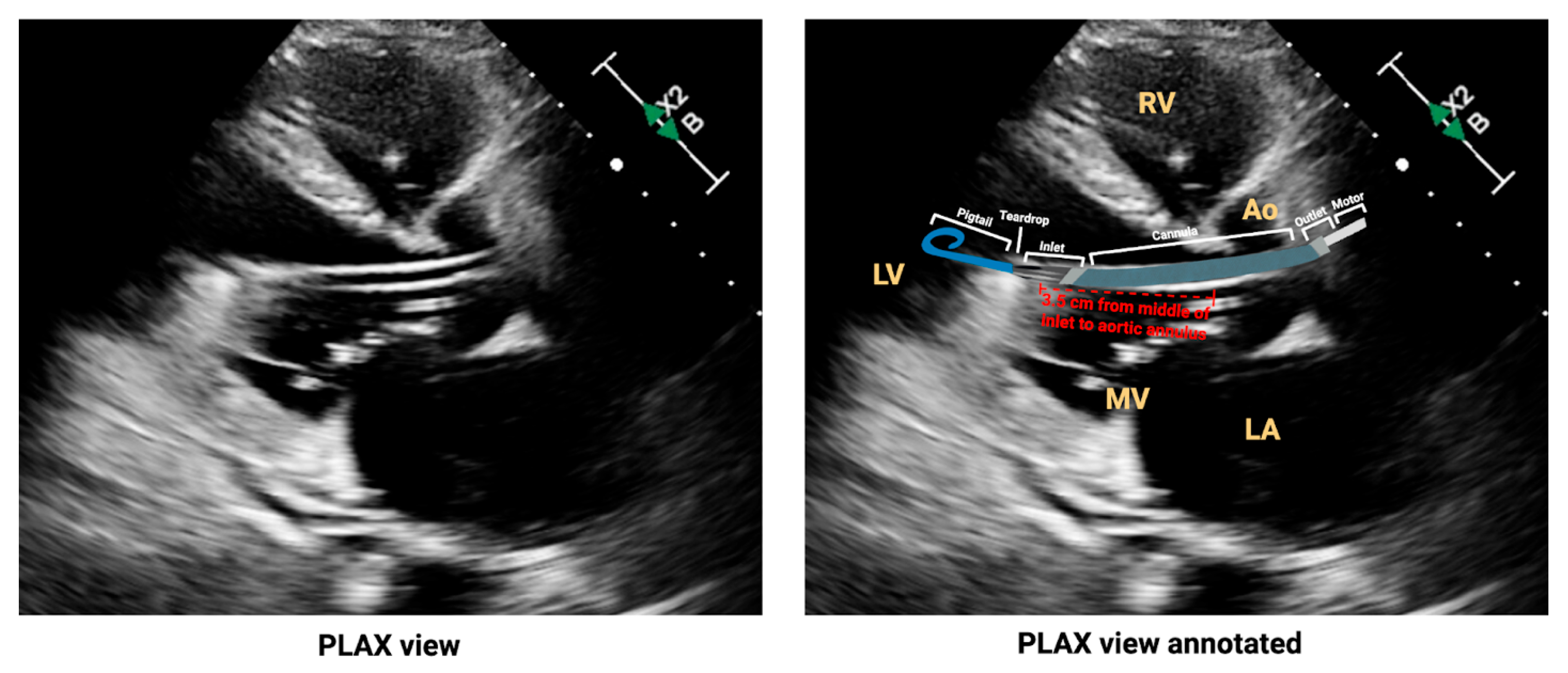 Biomedicines 13 02198 g005